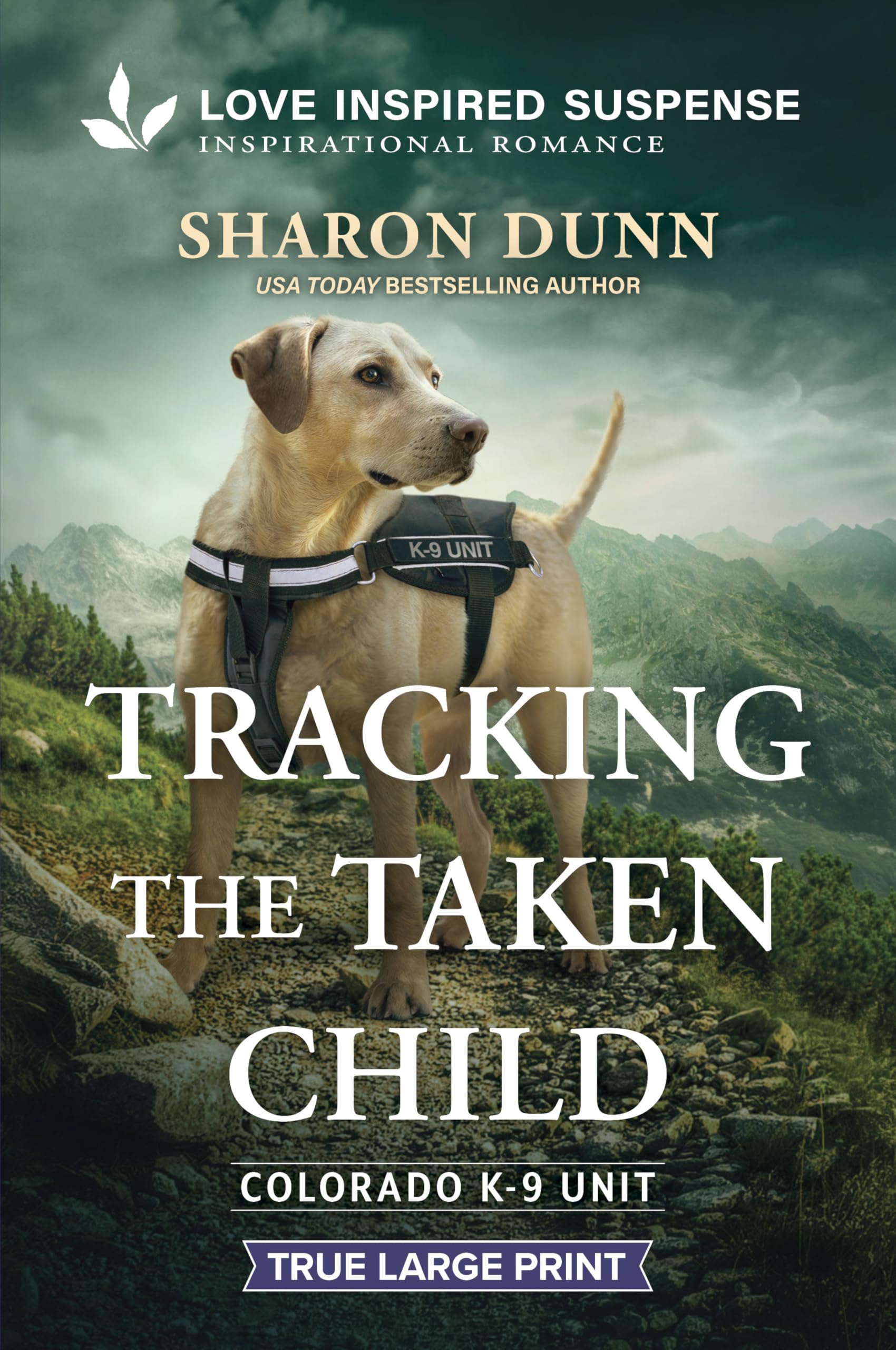Tracking the Taken Child (Colorado K-9 Unit, 2) Contemporary literature