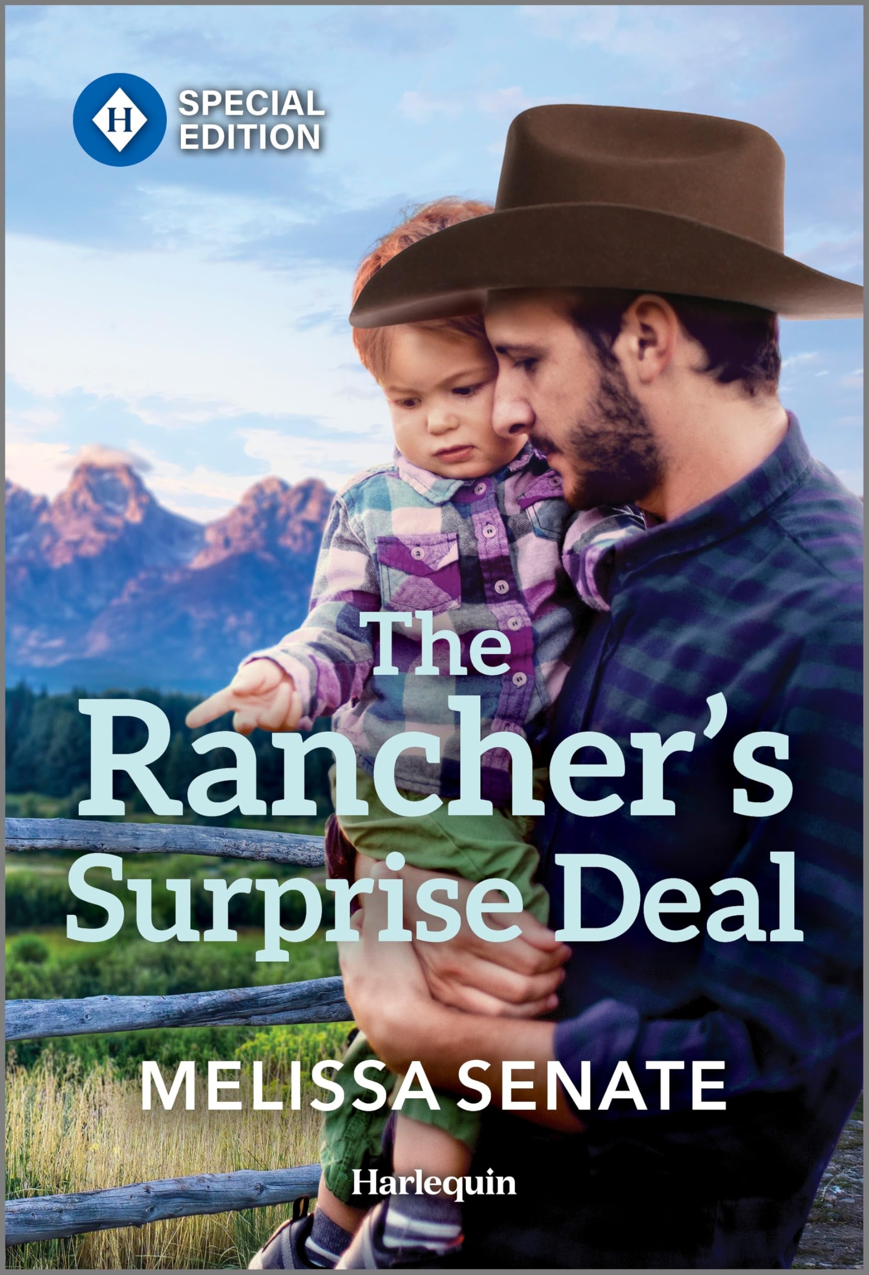 The Rancher's Surprise Deal: Single-Dad Rancher's Second Chance at Romance (Dawson Family Ranch, 16) Contemporary literature