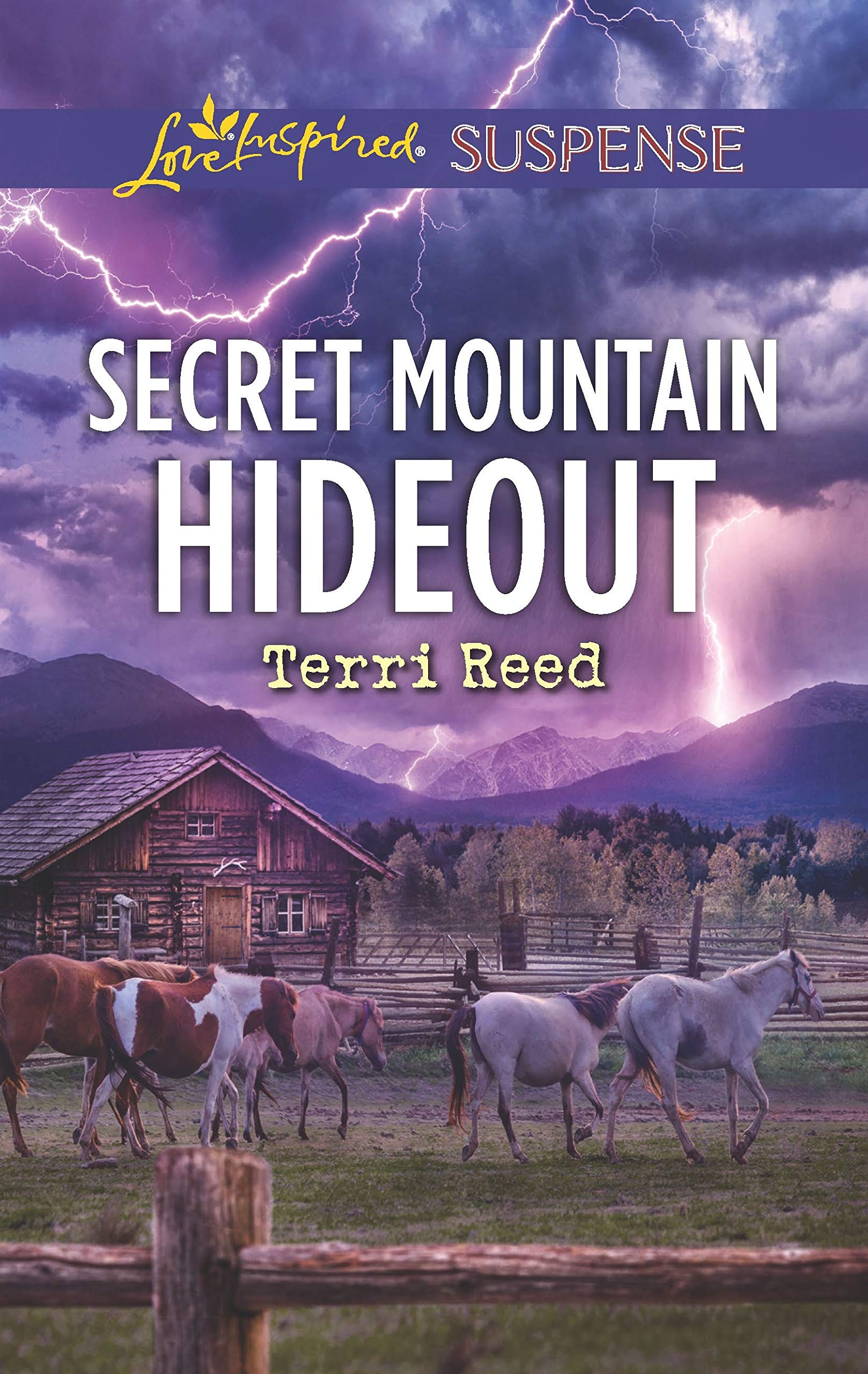 Secret Mountain Hideout (Love Inspired Suspense) Suspense & Thrillers