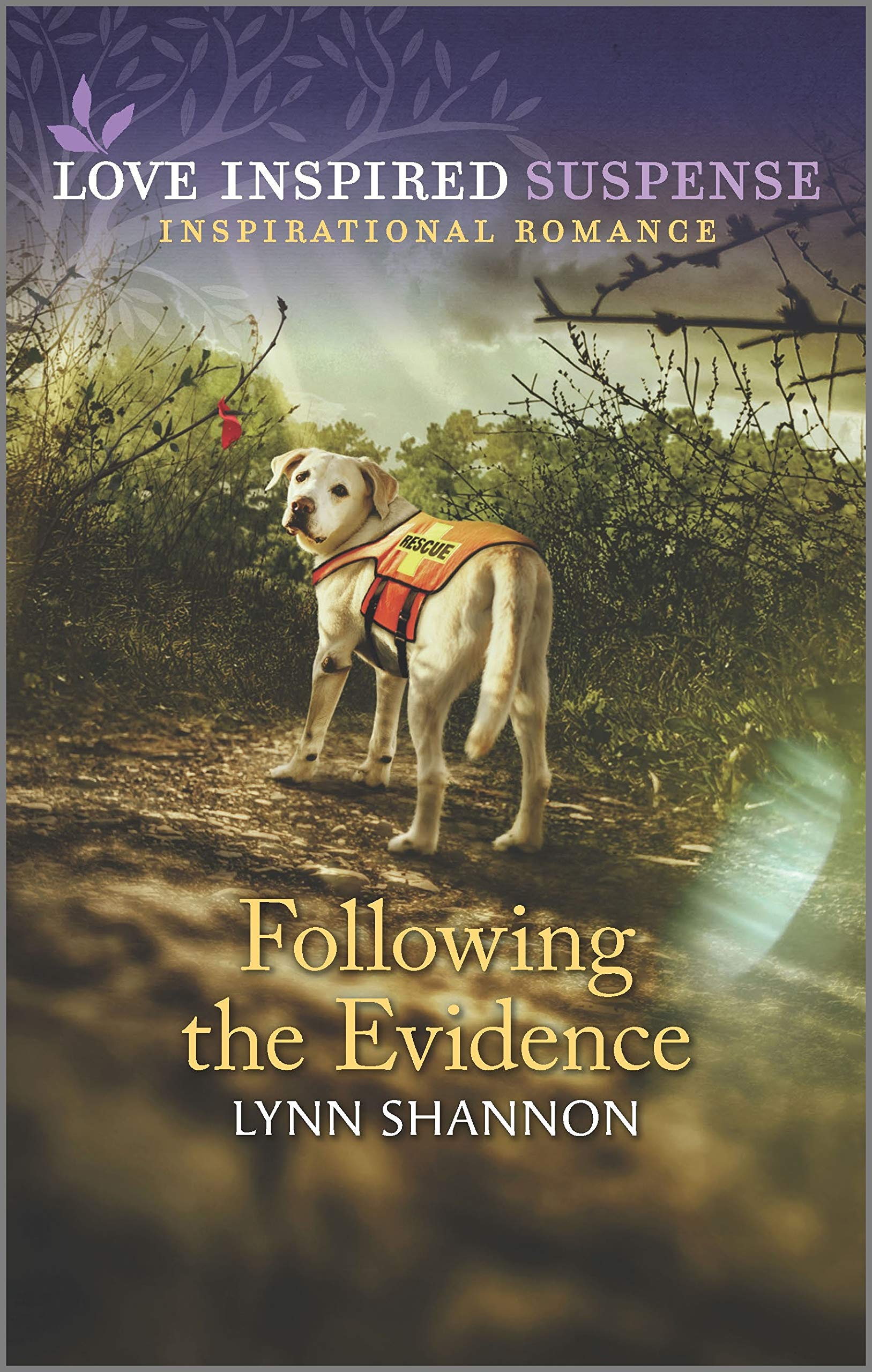 Following the Evidence (Love Inspired Suspense) Suspense & Thrillers