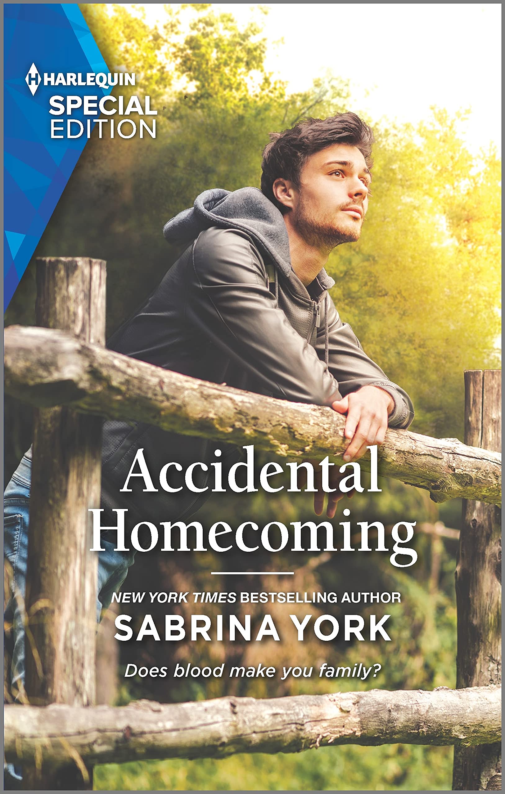Accidental Homecoming (The Stirling Ranch, 1, Band 1) Contemporary literature
