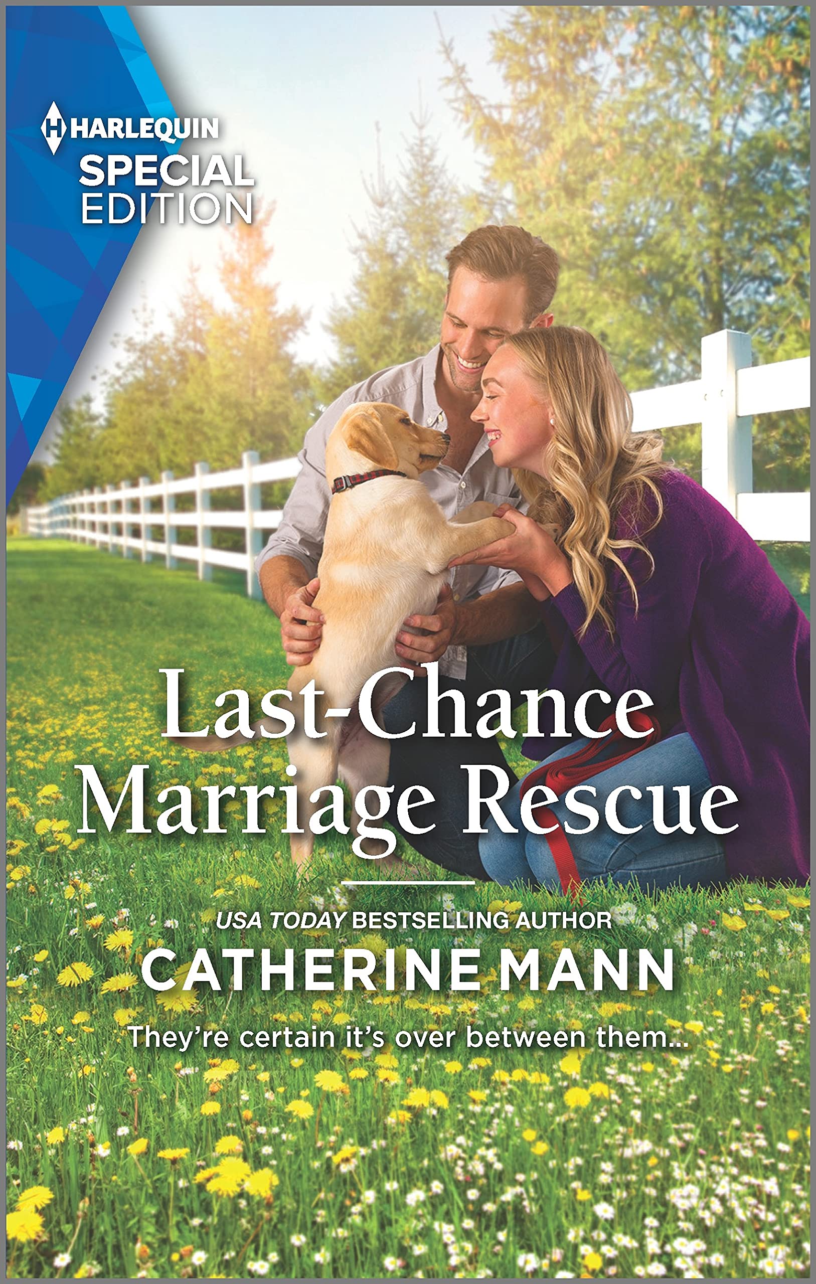 Last-Chance Marriage Rescue (Top Dog Dude Ranch, 1, Band 1) Contemporary literature