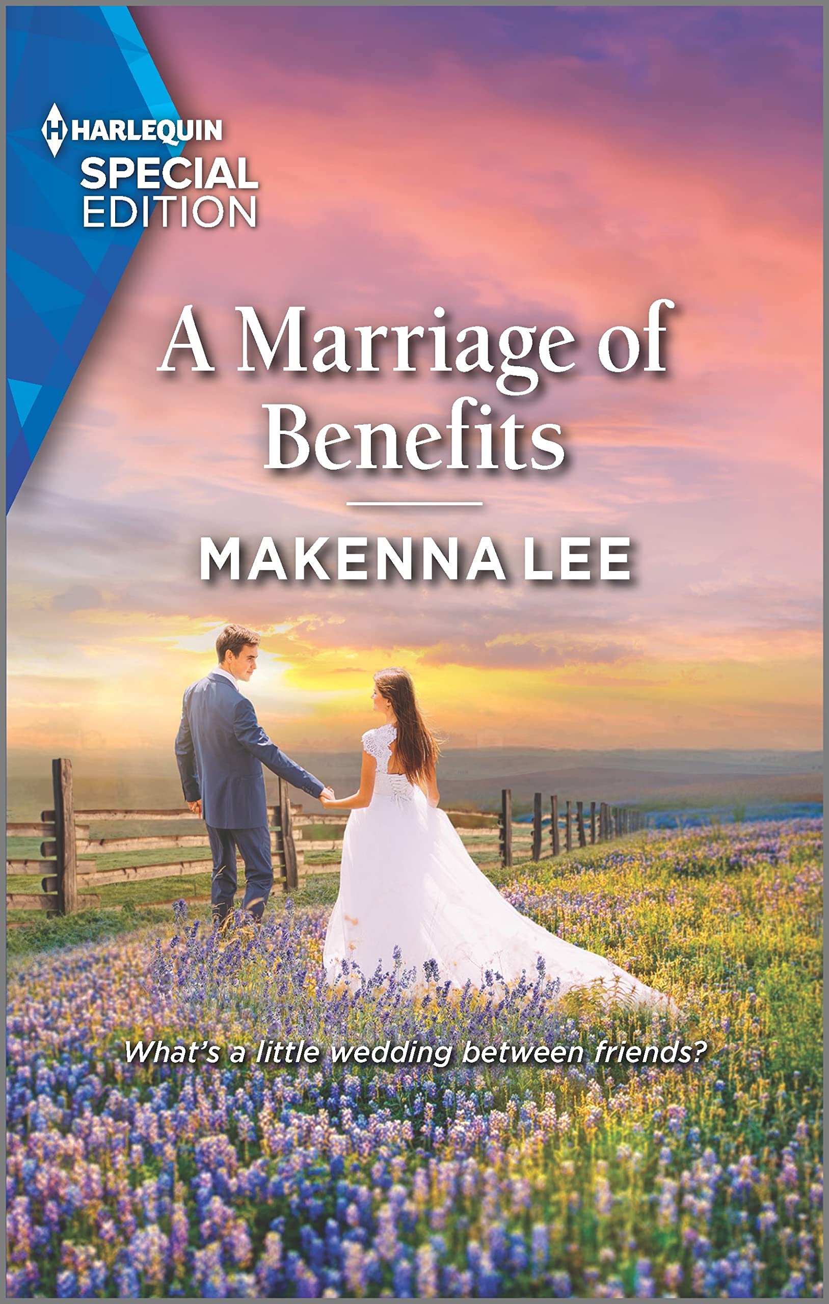 A Marriage of Benefits (Home to Oak Hollow, 4) Contemporary literature
