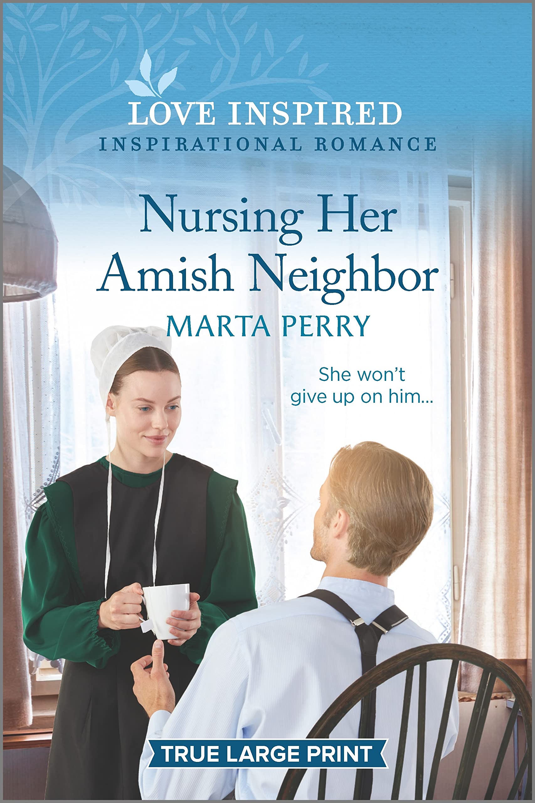 Nursing Her Amish Neighbor (Brides of Lost Creek, 6) Contemporary literature