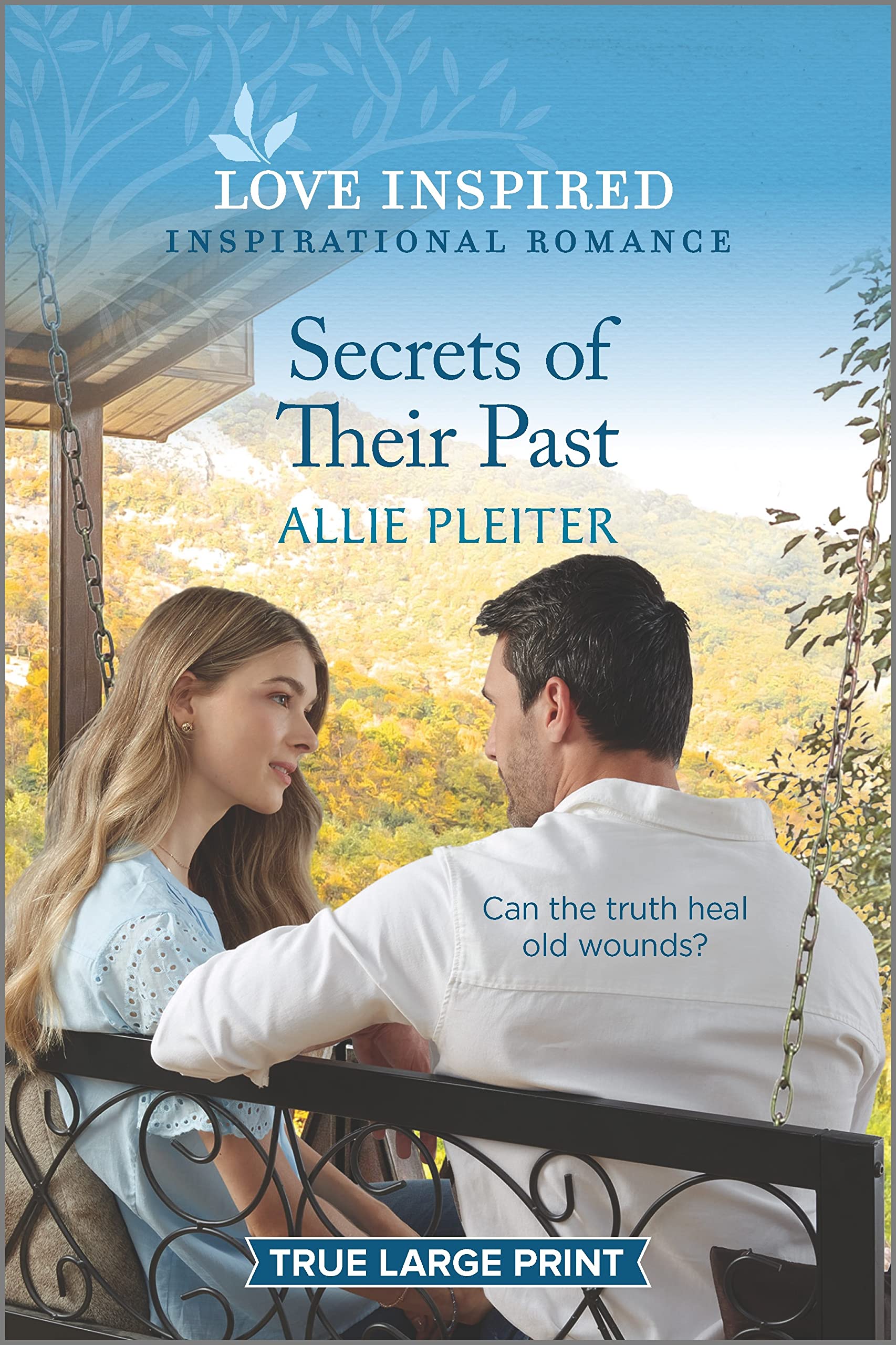 Secrets of Their Past: An Uplifting Inspirational Romance (Wander Canyon, 5) Contemporary literature
