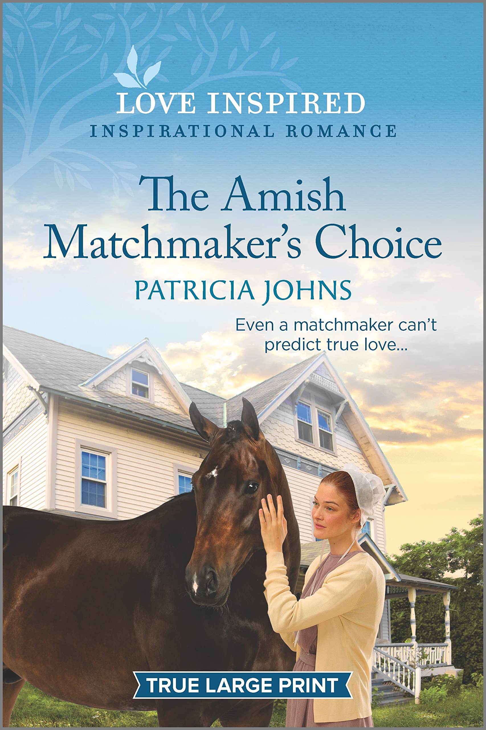 The Amish Matchmaker's Choice: An Uplifting Inspirational Romance (Redemption's Amish Legacies, 6) Religion & Esotericism