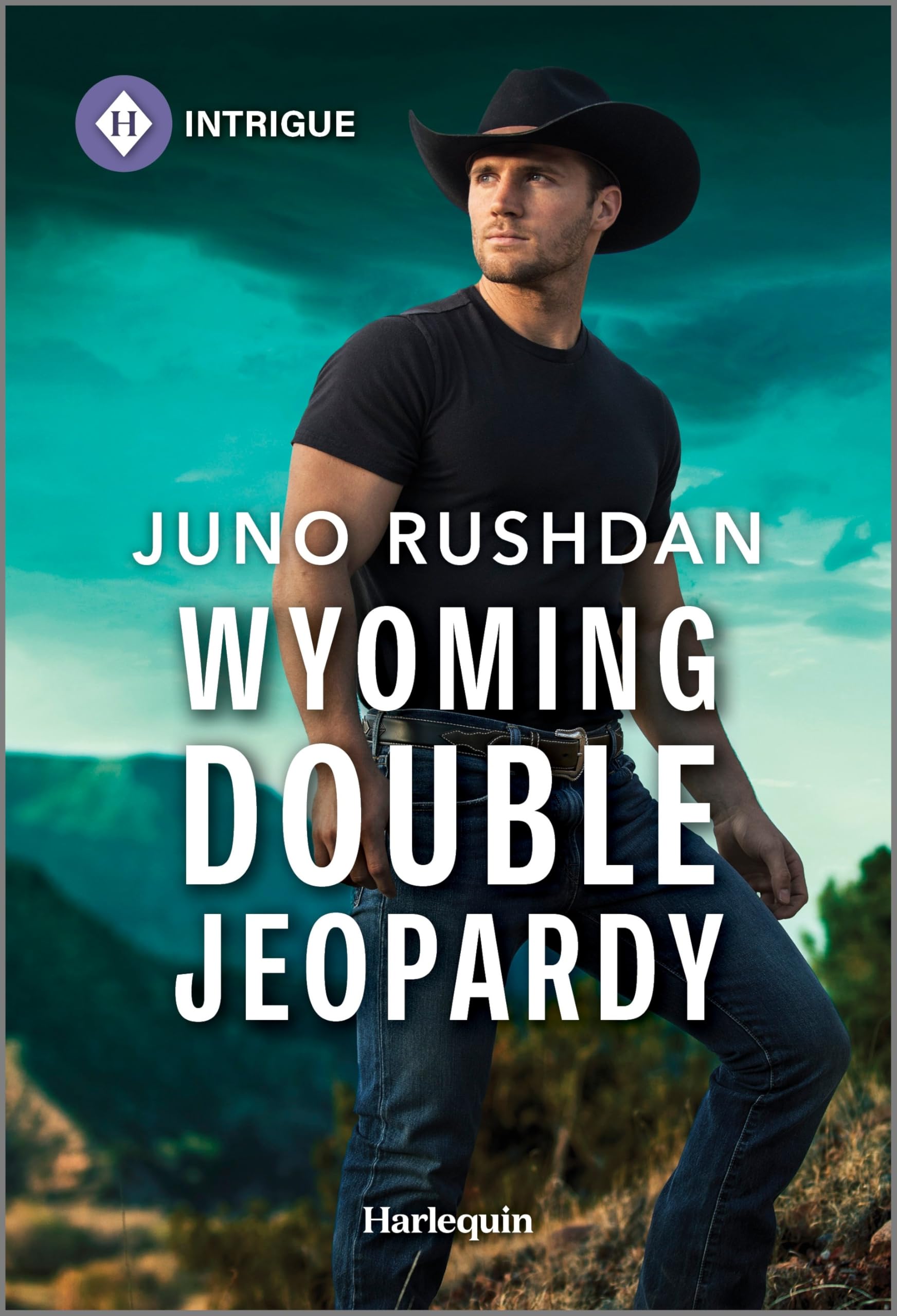 Wyoming Double Jeopardy (Cowboy State Lawmen: Duty and Honor, 5, Band 5) Contemporary literature