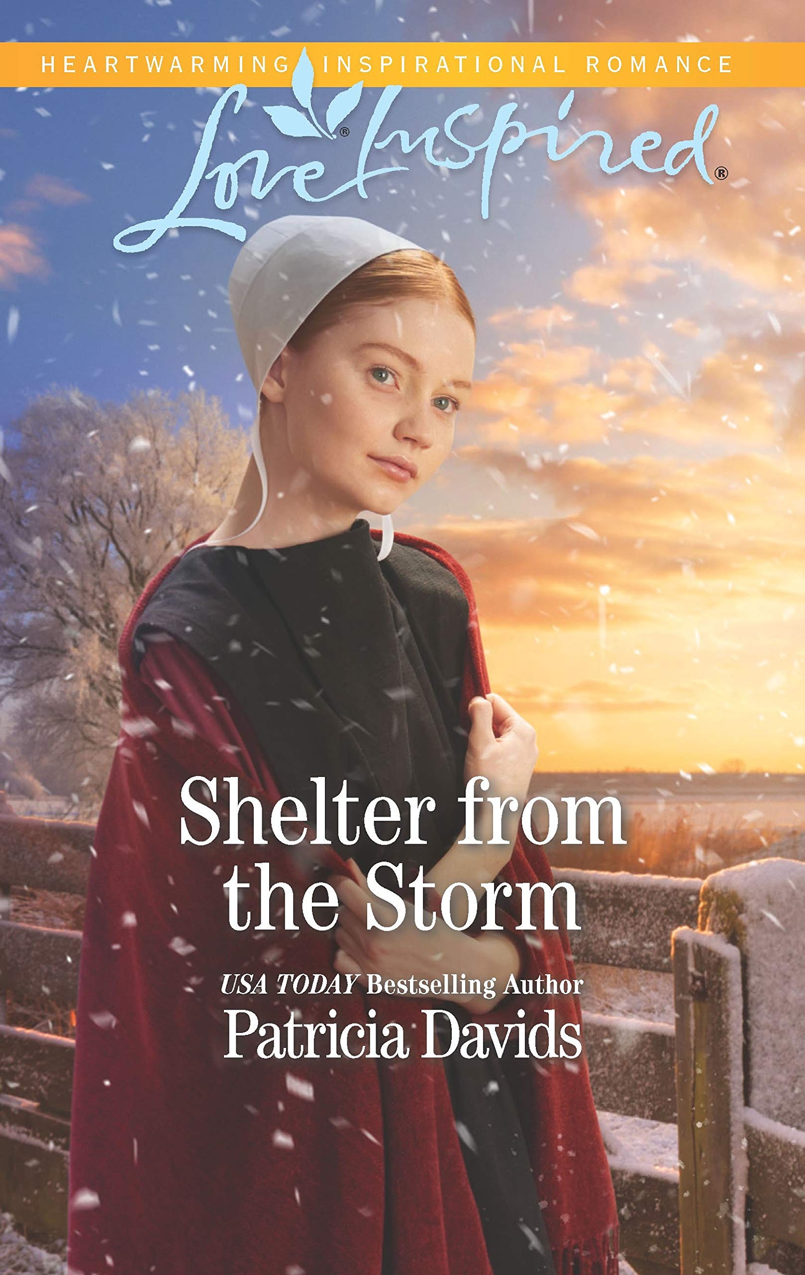 Shelter from the Storm (North Country Amish, 1) Contemporary literature