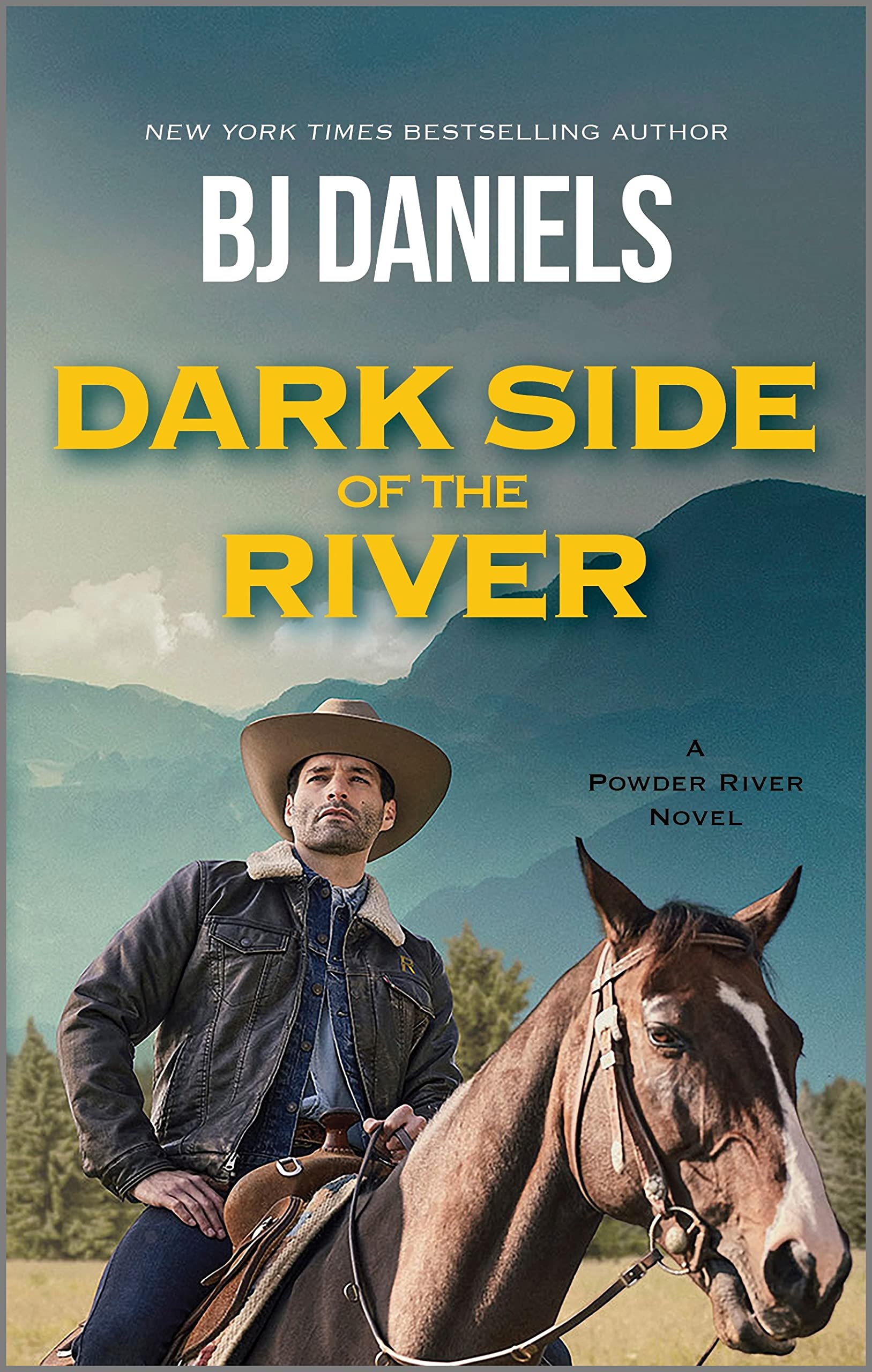 Dark Side of the River (A Powder River Novel, 1, Band 1) Contemporary literature