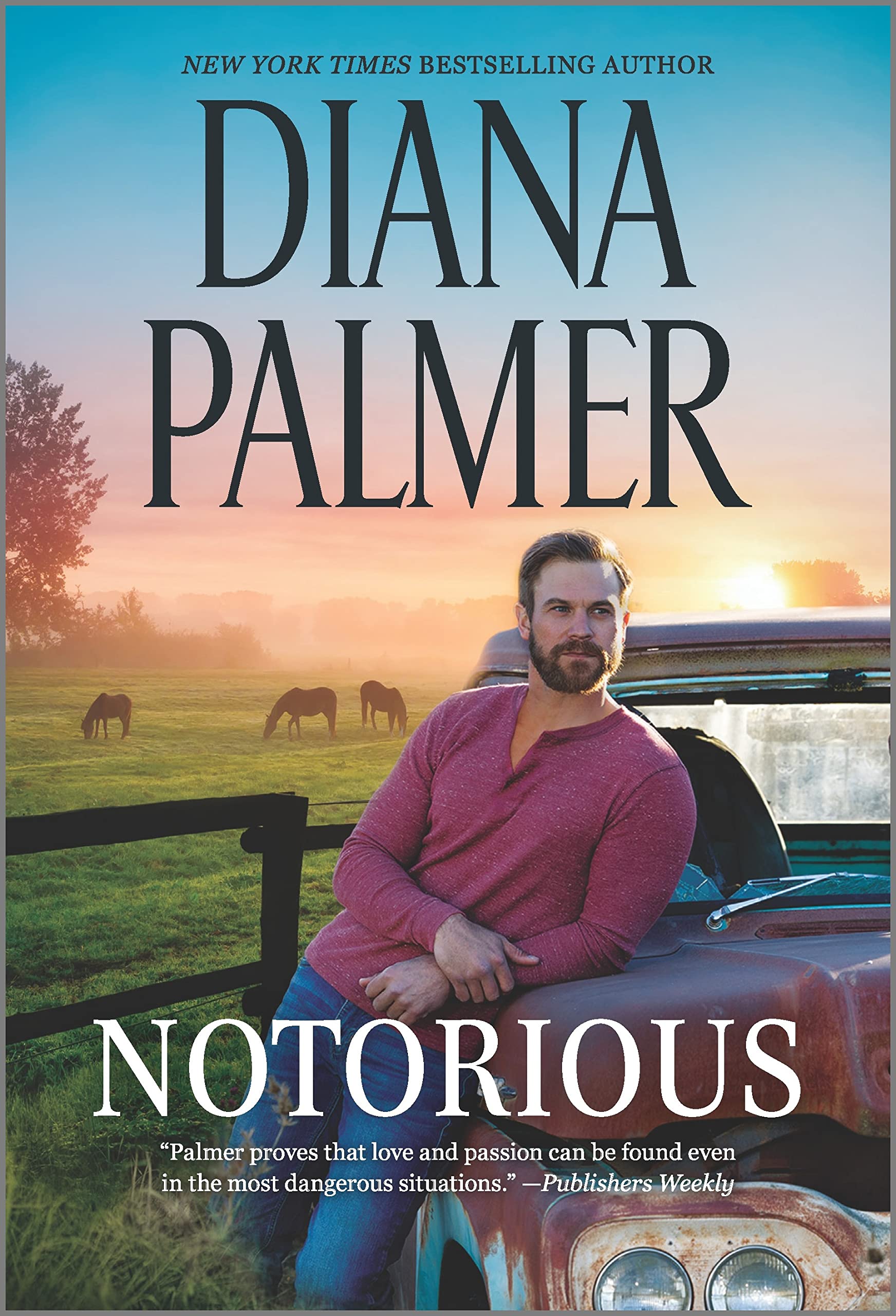 Notorious: A Novel (Long, Tall Texans, 51, Band 51) Contemporary literature