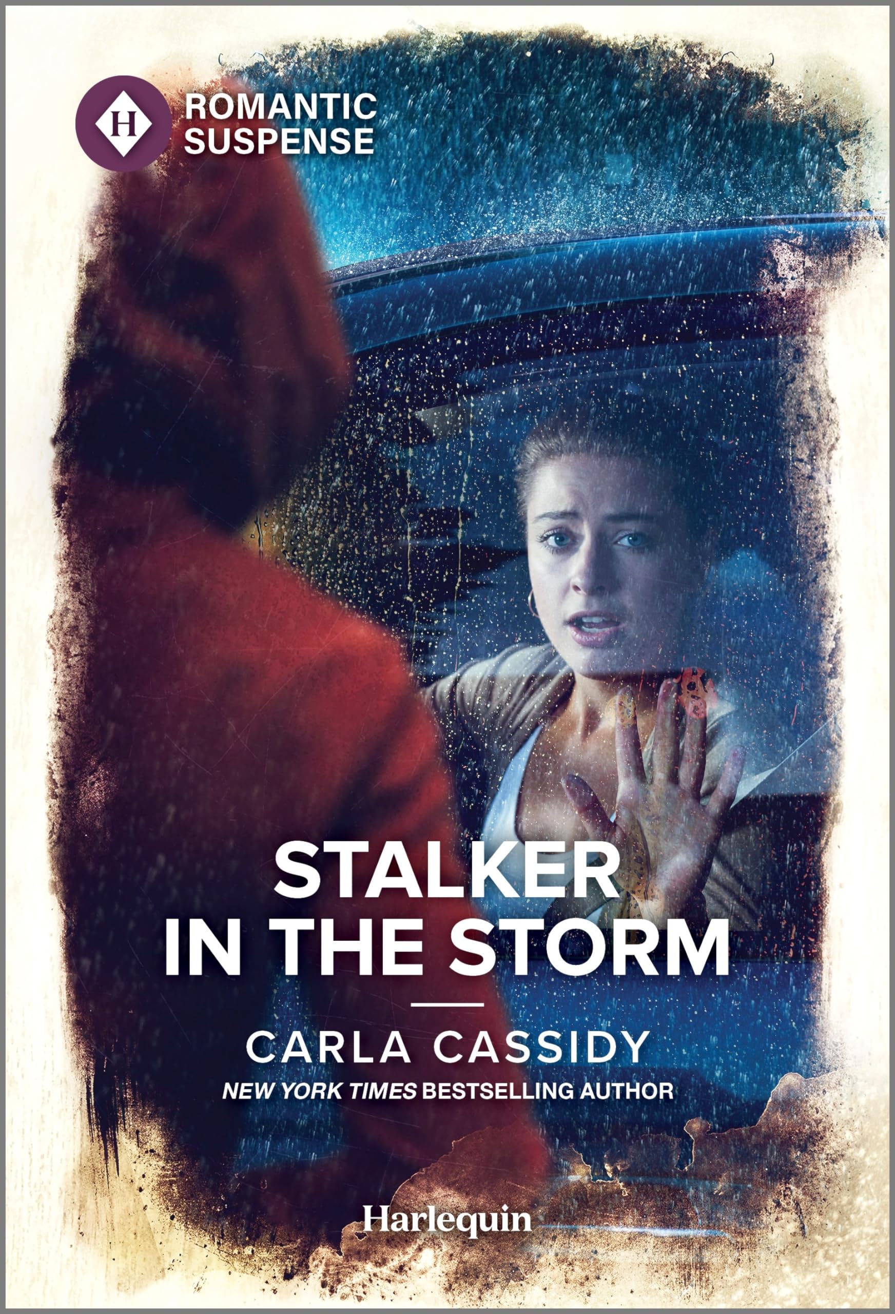 Stalker in the Storm (The Scarecrow Murders, 4, Band 4) Contemporary literature