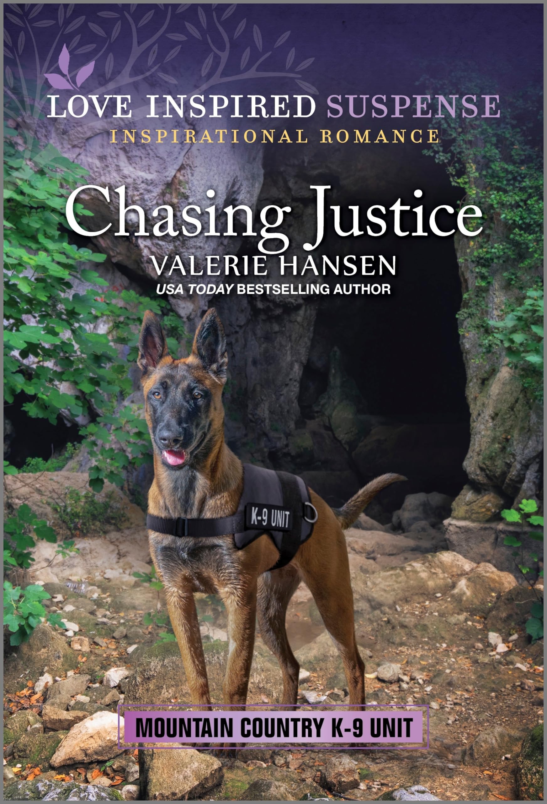 Chasing Justice (Mountain Country K-9 Unit, 3, Band 3) Contemporary literature