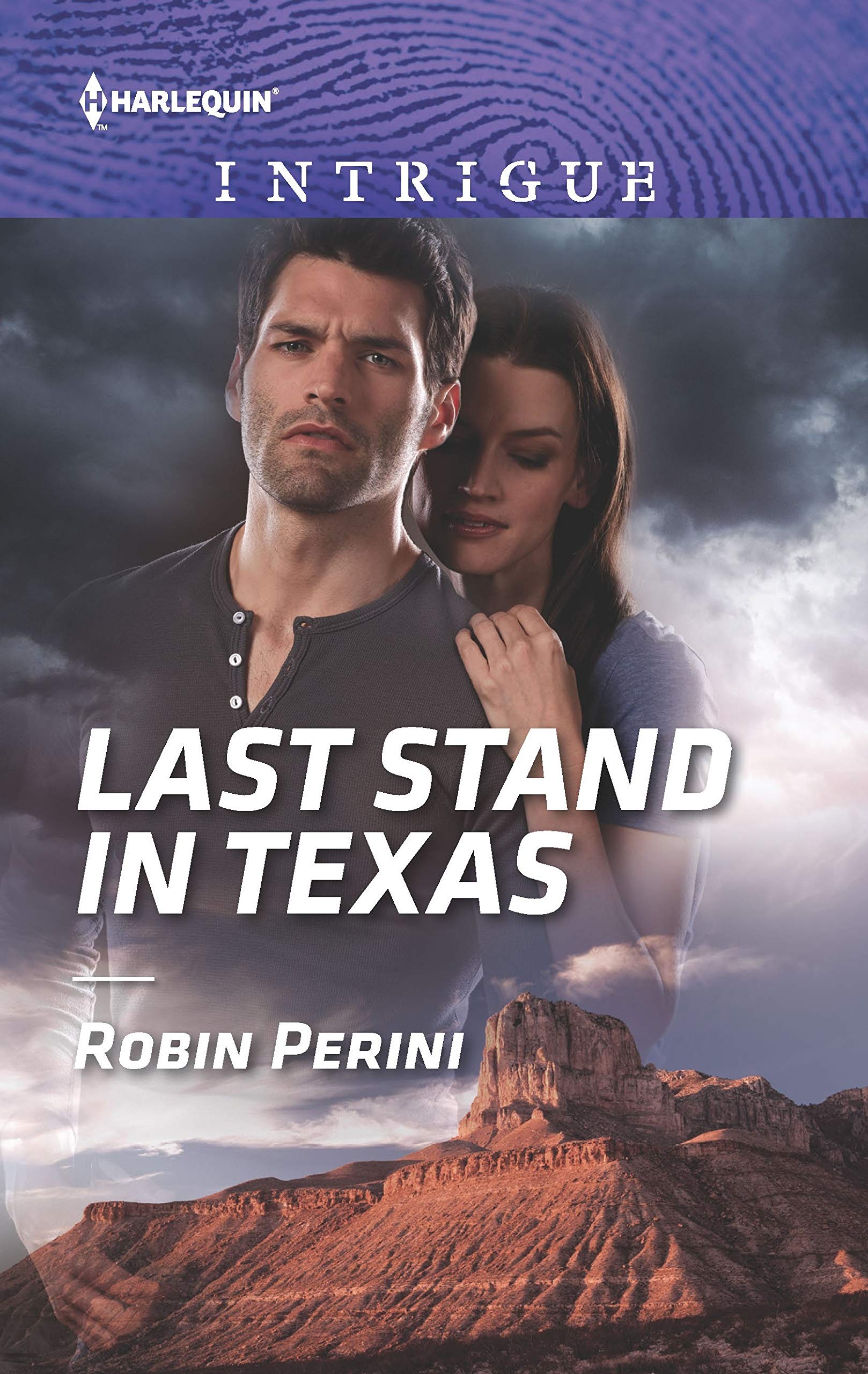 Last Stand in Texas book