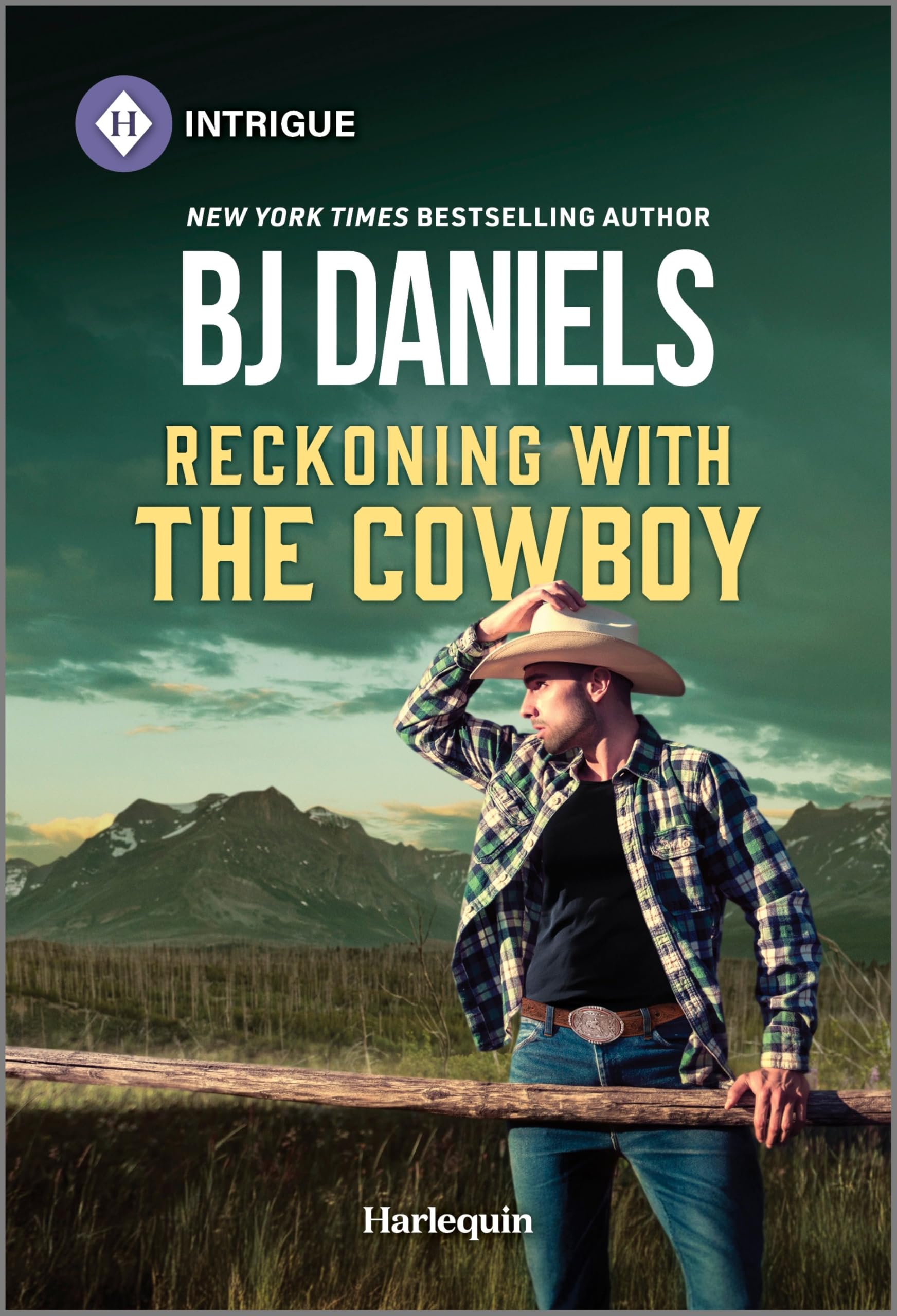 Reckoning with the Cowboy (Dry Gulch, Montana, 1) Social Sciences