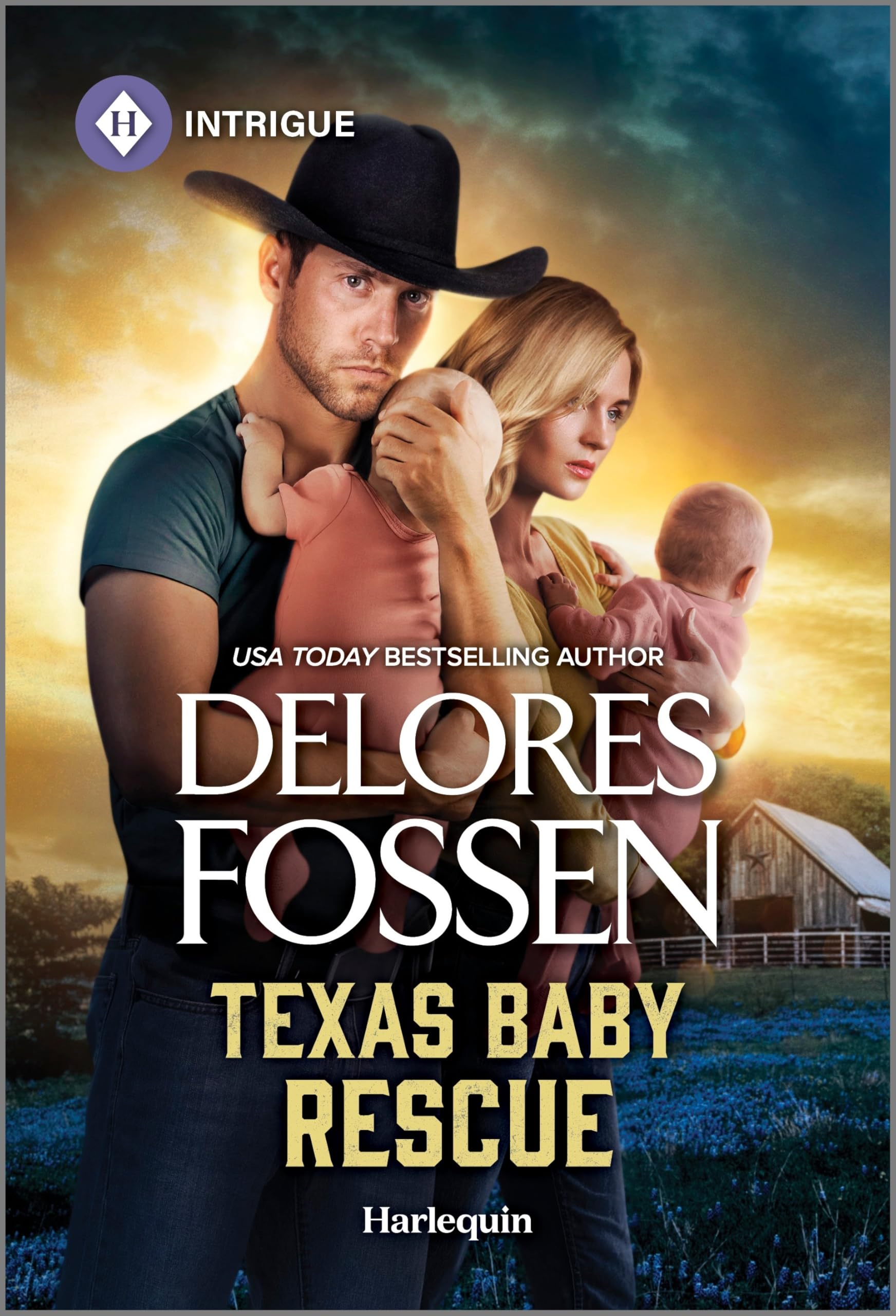 Texas Baby Rescue (Renegade Canyon, 3) Contemporary literature