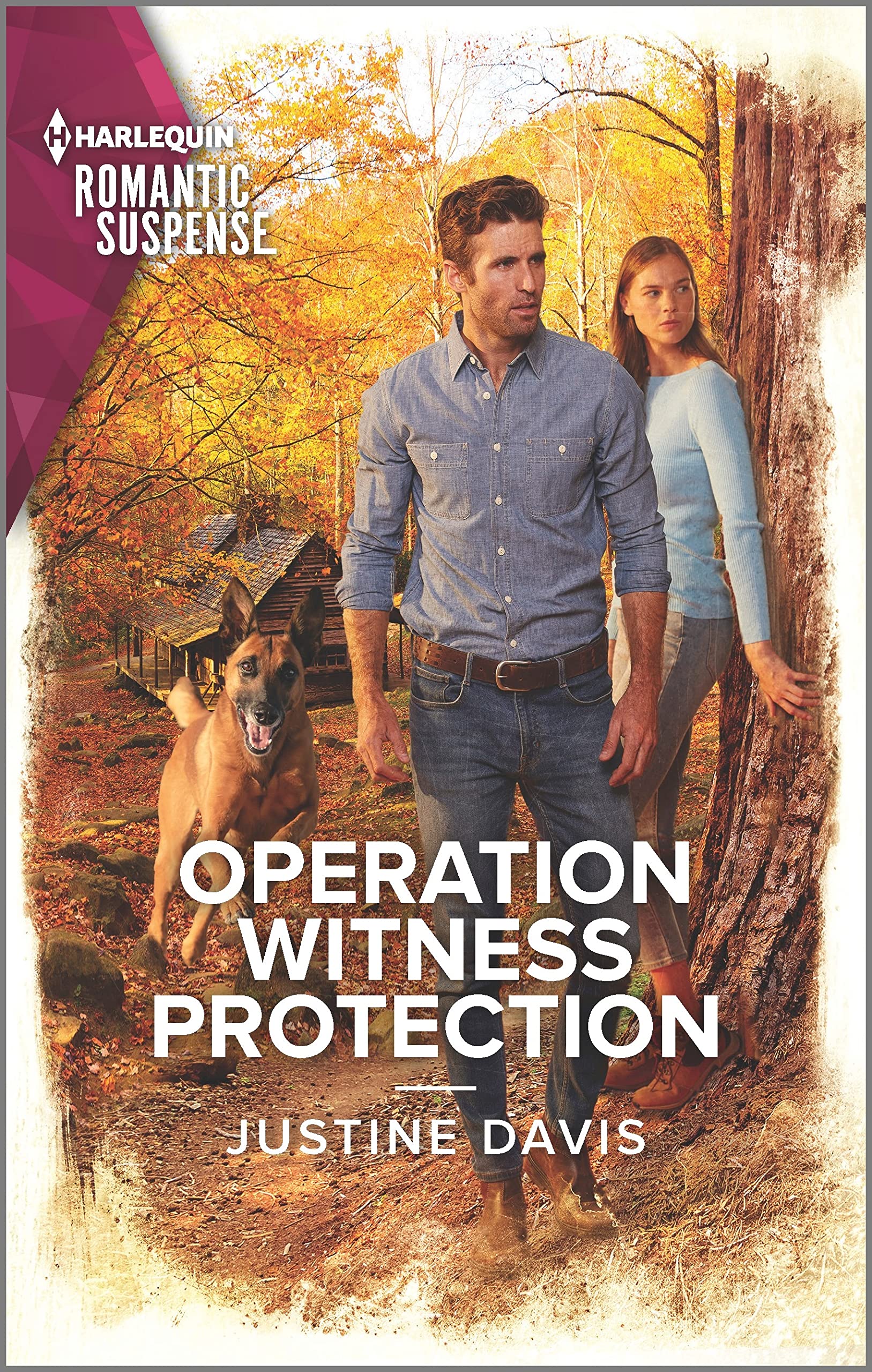 Operation Witness Protection: A Thrilling K-9 Suspense Novel (Cutter's Code, 15) Contemporary literature
