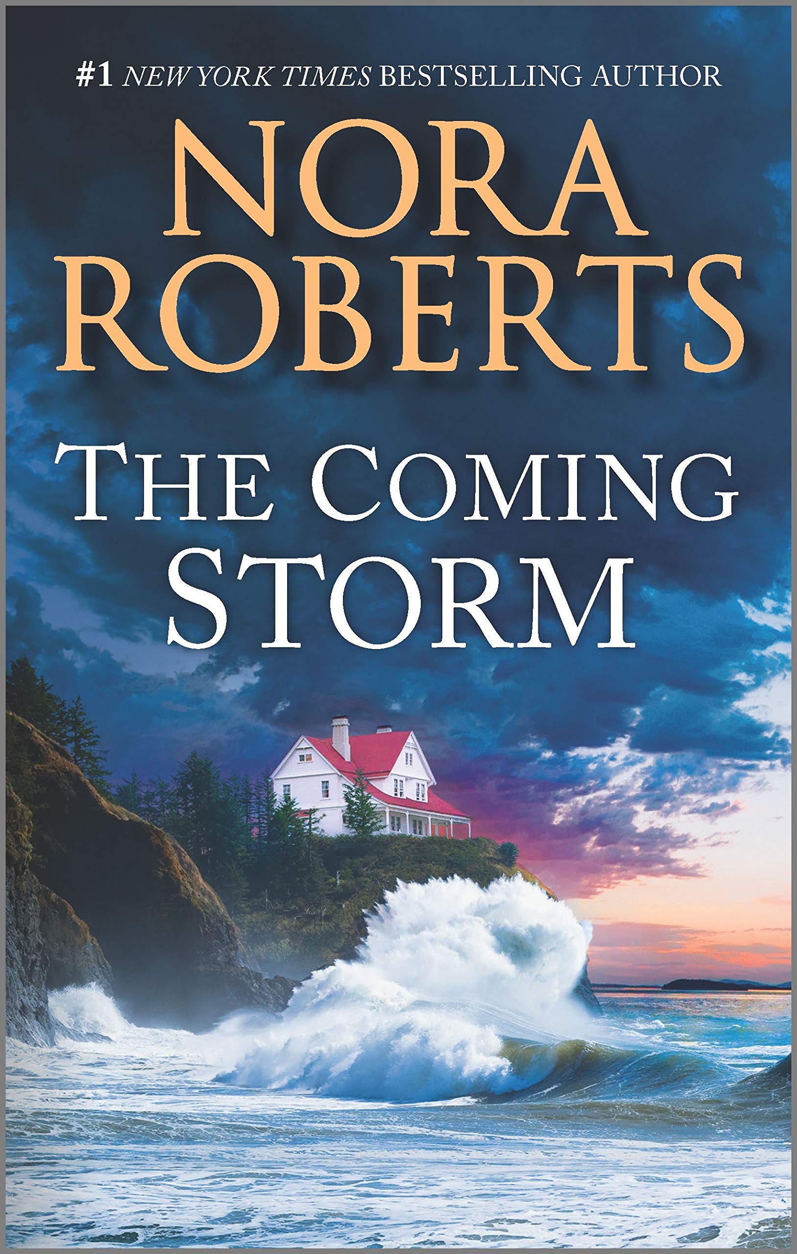 The Coming Storm Romantic Thrillers Books