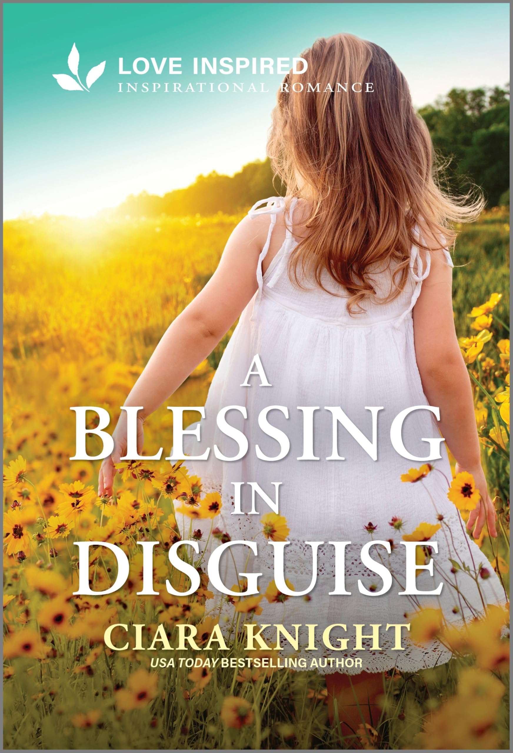 A Blessing in Disguise Social Sciences Books