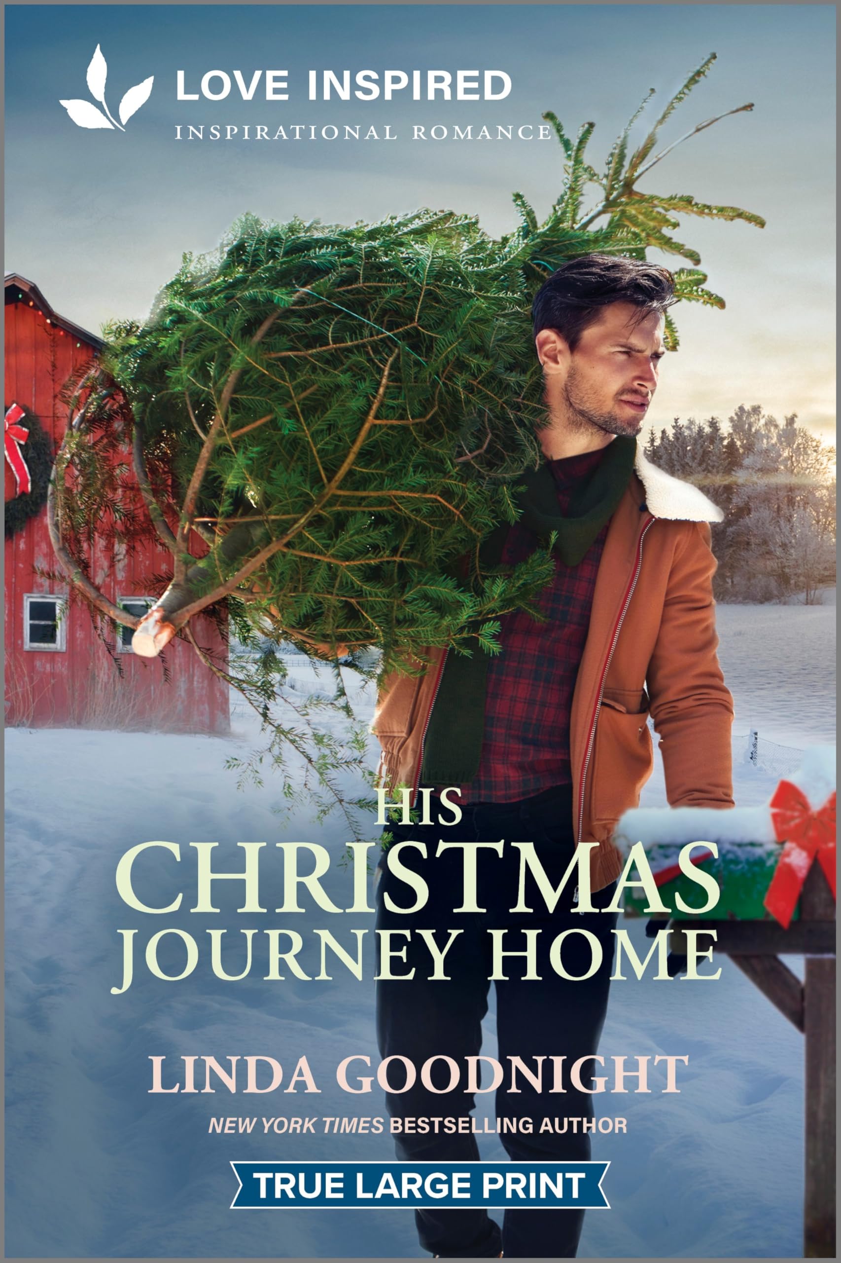 His Christmas Journey Home: An Uplifting Inspirational Romance (House of Hope, 3) Social Sciences
