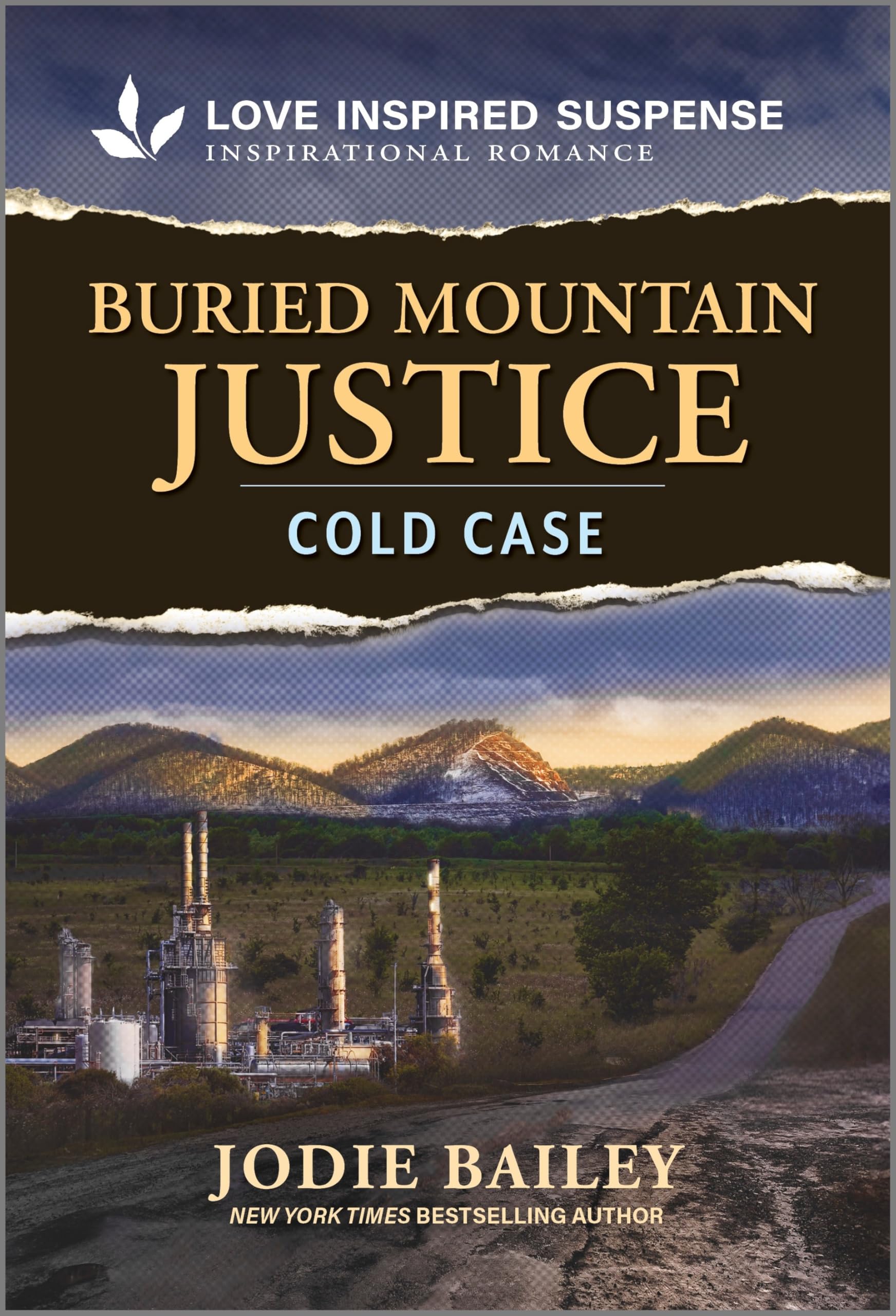 Buried Mountain Justice (Trinity Investigative Team, 3) Contemporary literature