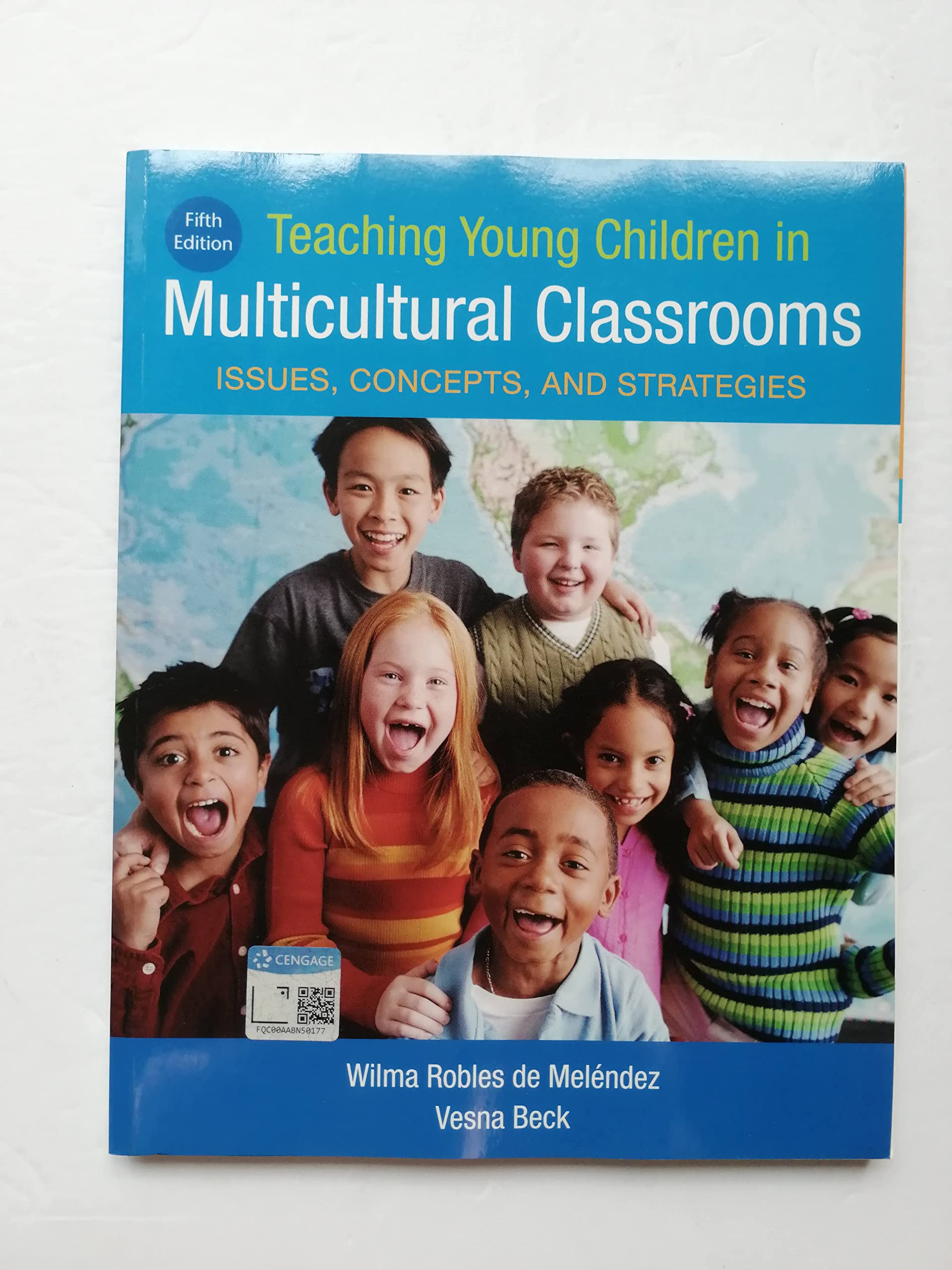Teaching Young Children in Multicultural Classrooms: Issues, Concepts, and Strategies Education & Training
