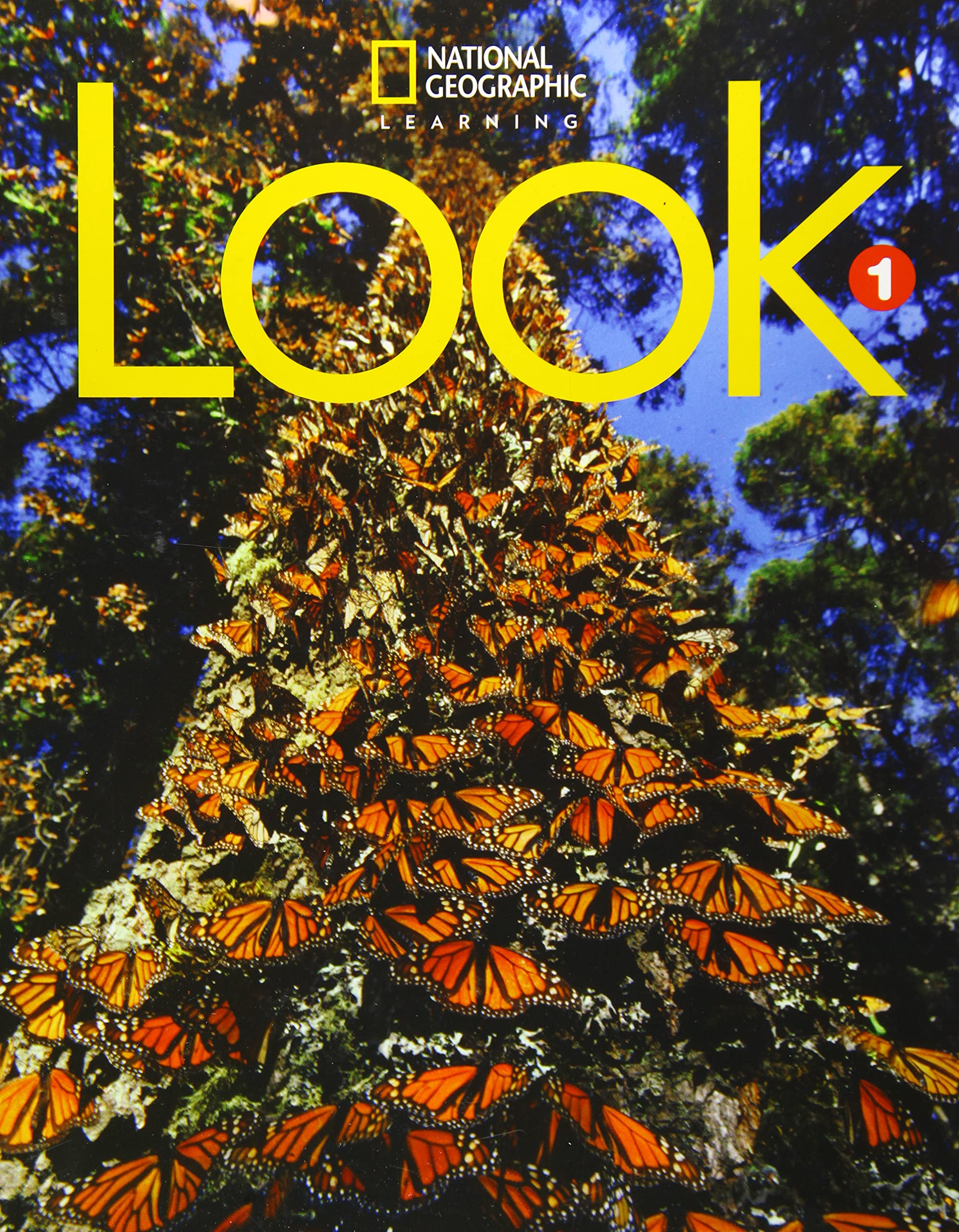 Look 1 (Look, American English, Band 1) Business, Finance & Career