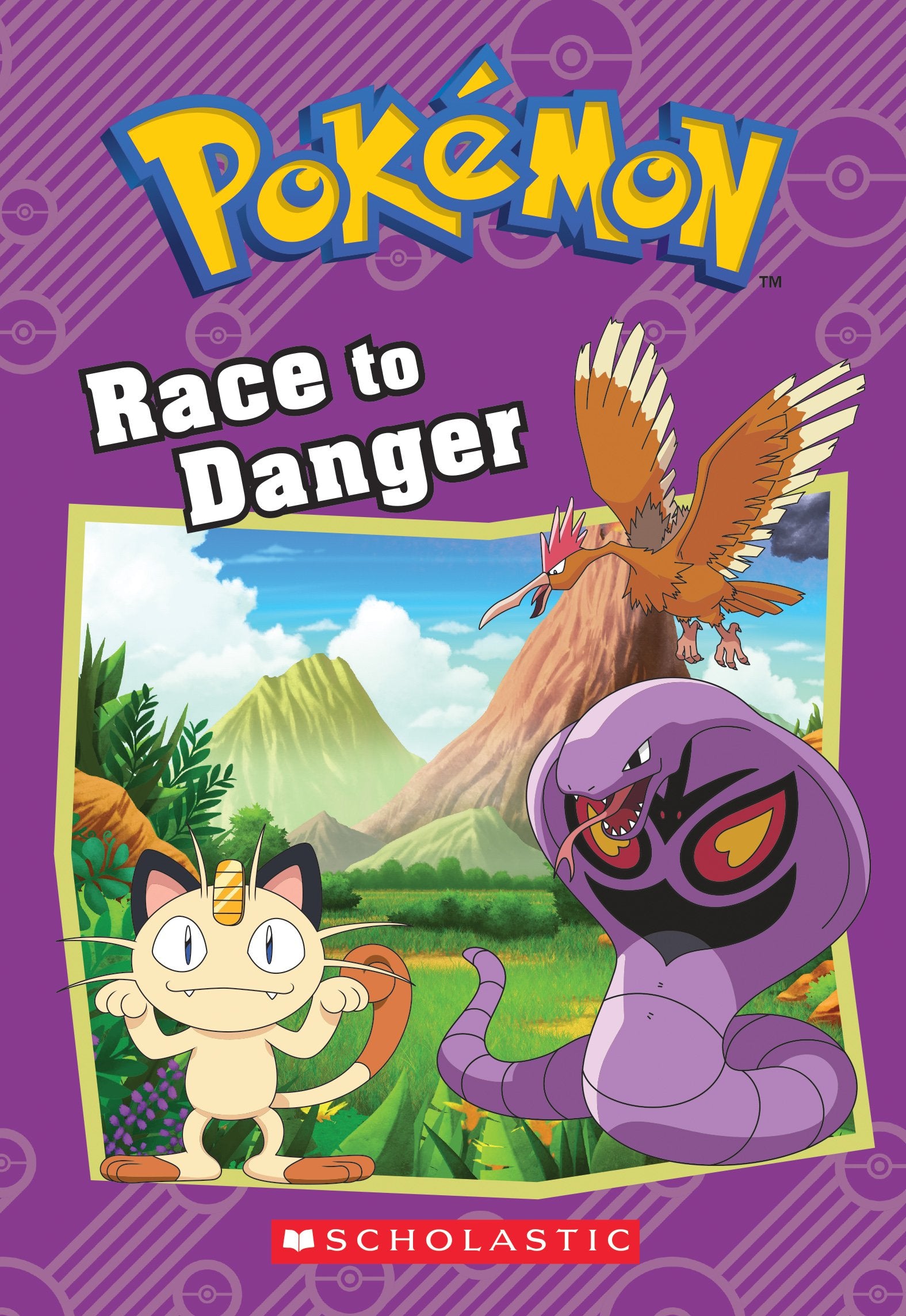 Race to Danger (Pokémon Classic Chapter Book #5) (Pokemon) Novels & Short Stories