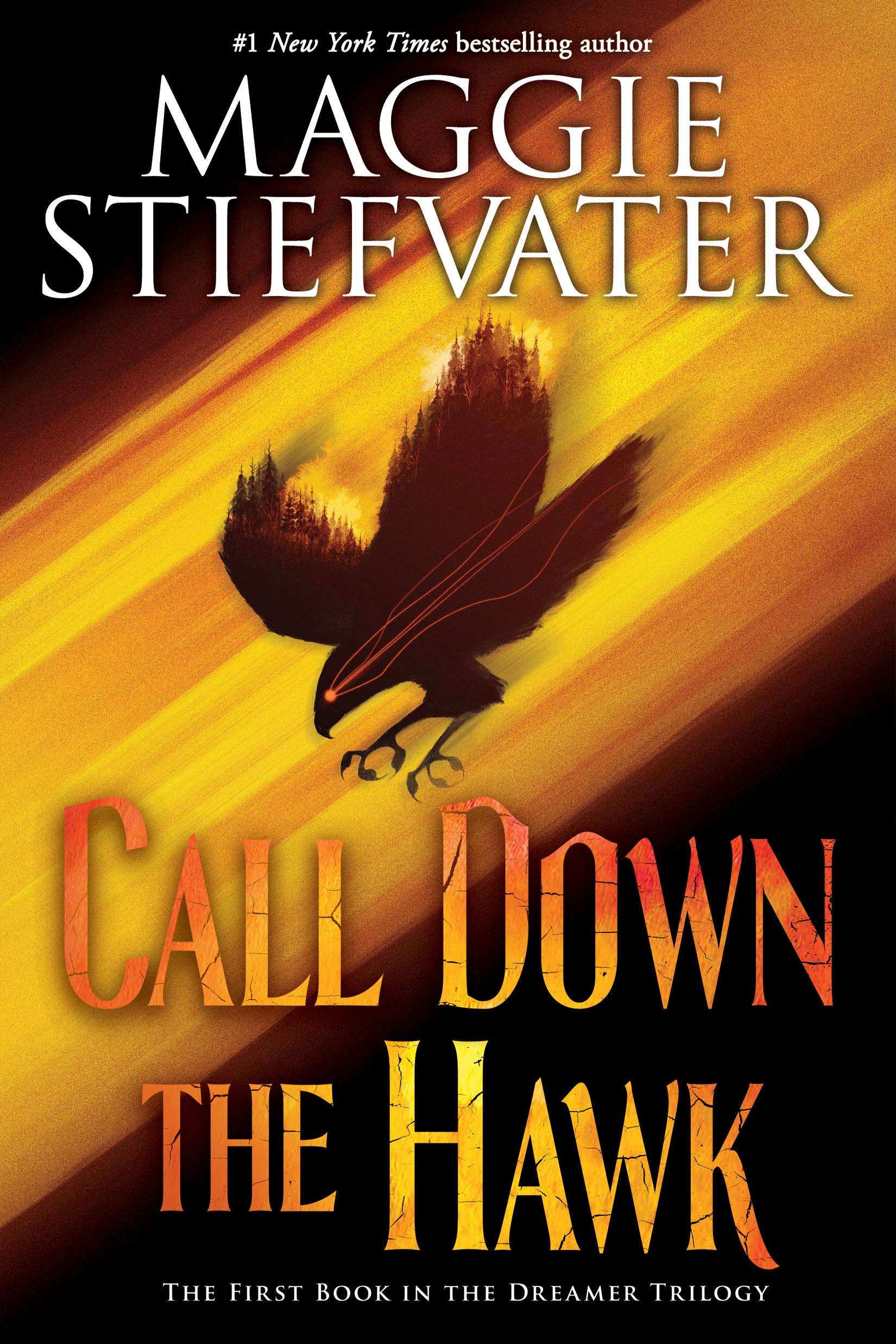 Call Down the Hawk (The Dreamer Trilogy, Book 1) (Volume 1) book
