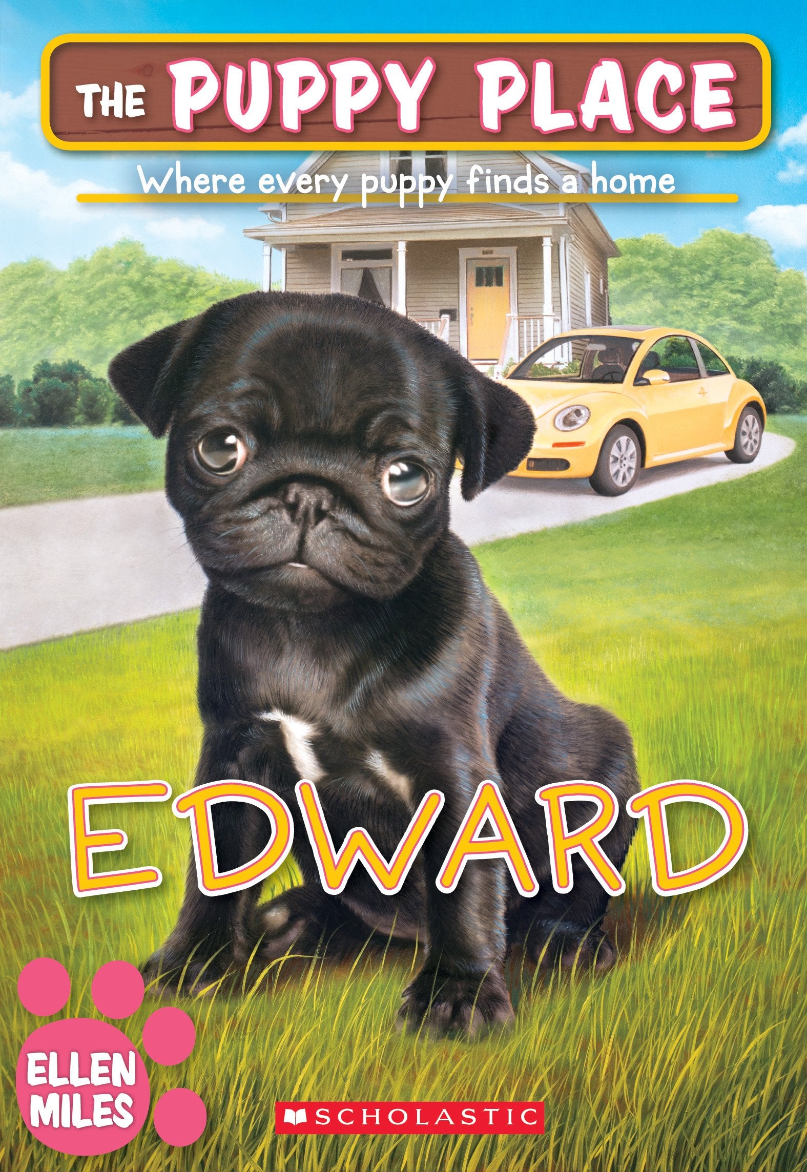 Edward (The Puppy Place #49) (Volume 49) book