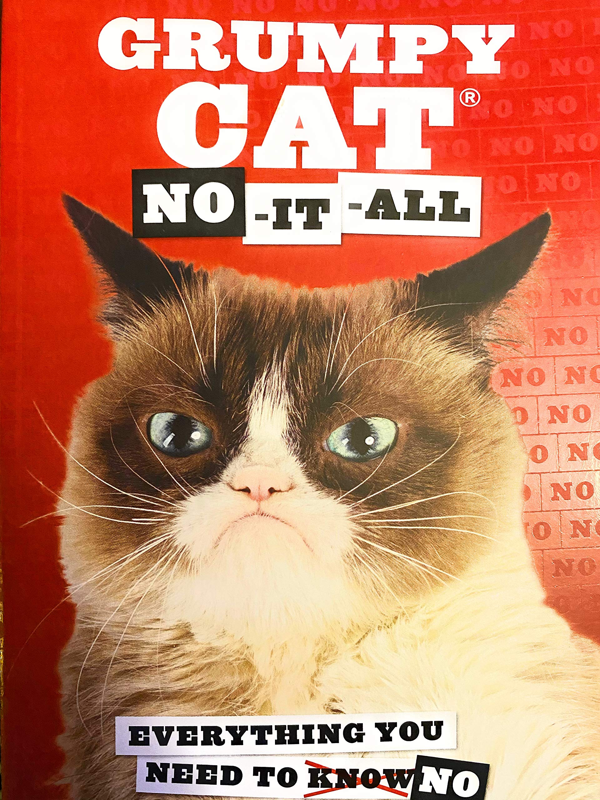 Grumpy Cat: No-it-all : Everything You Need to No Books
