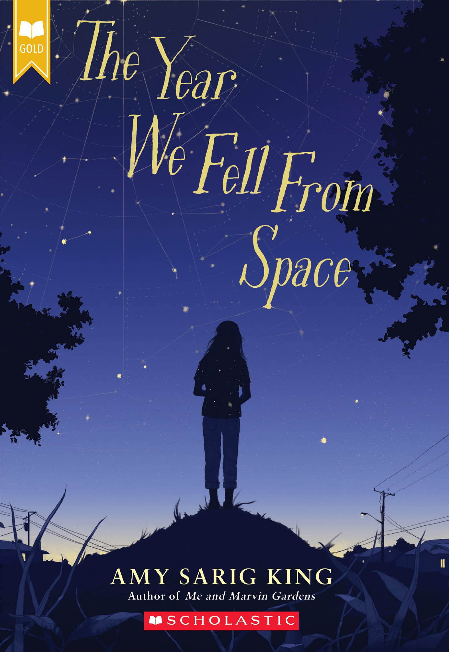 The Year We Fell from Space (Scholastic Gold) Natural Sciences
