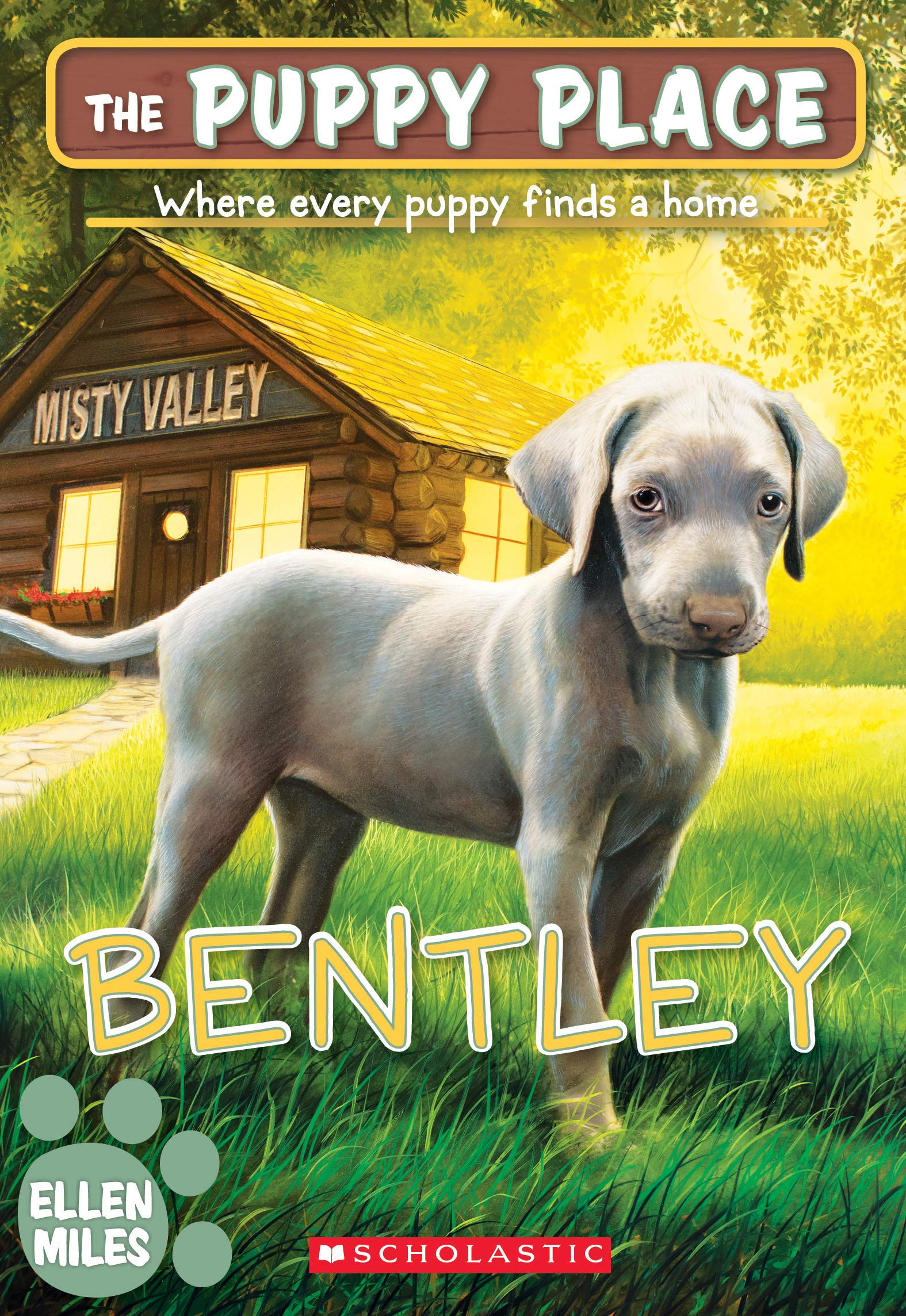 Bentley (The Puppy Place #53) (Volume 53) book