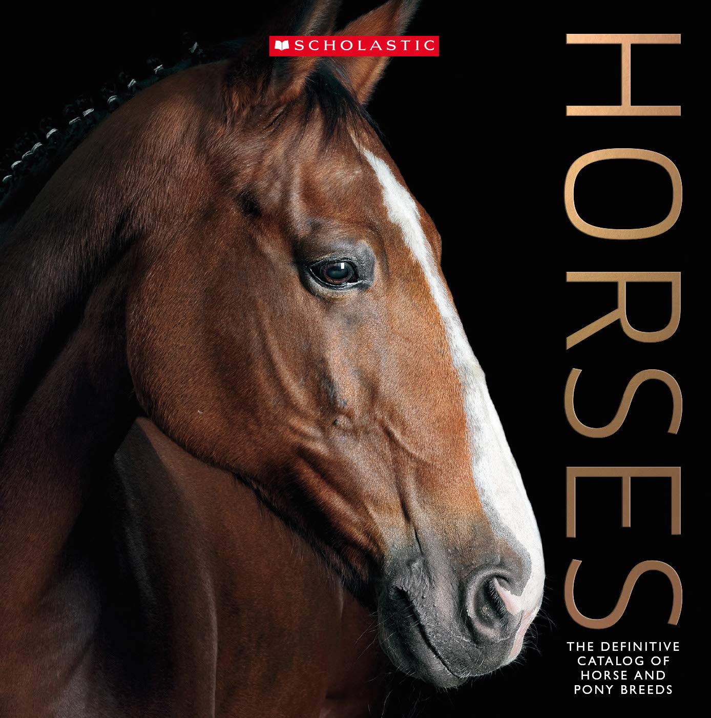 Horses: The Definitive Catalog of Horse and Pony Breeds book