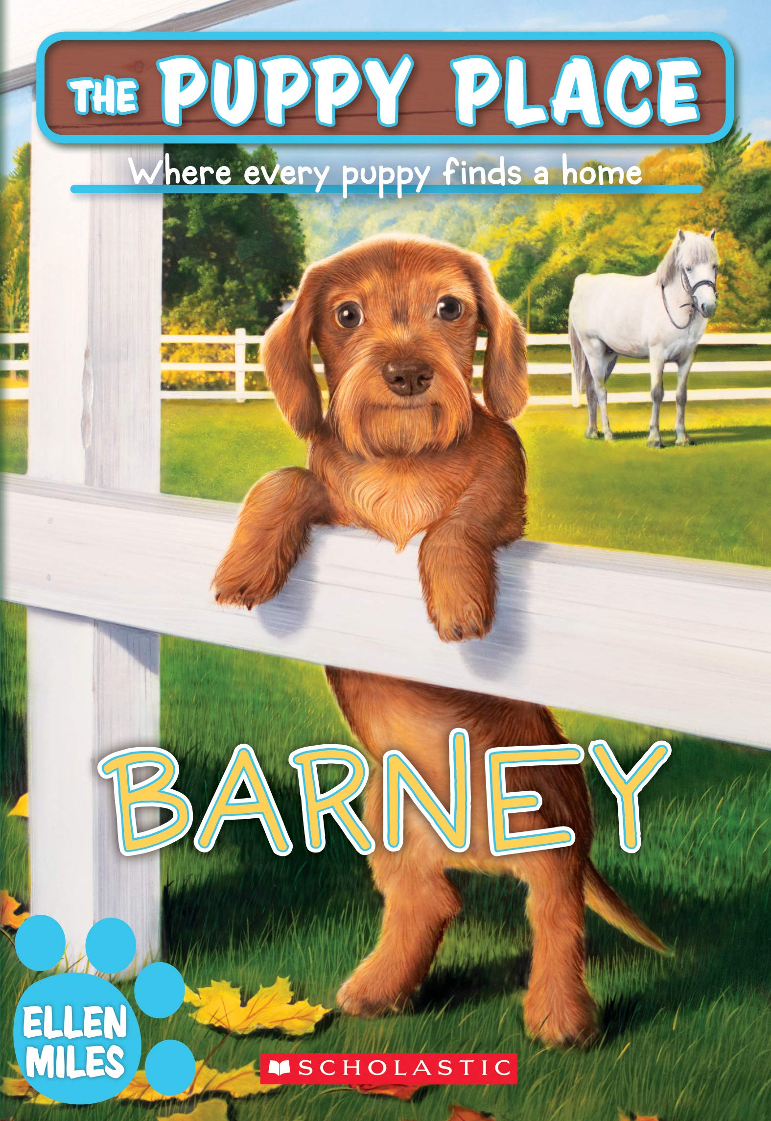 Barney (The Puppy Place #57) (Volume 57) book