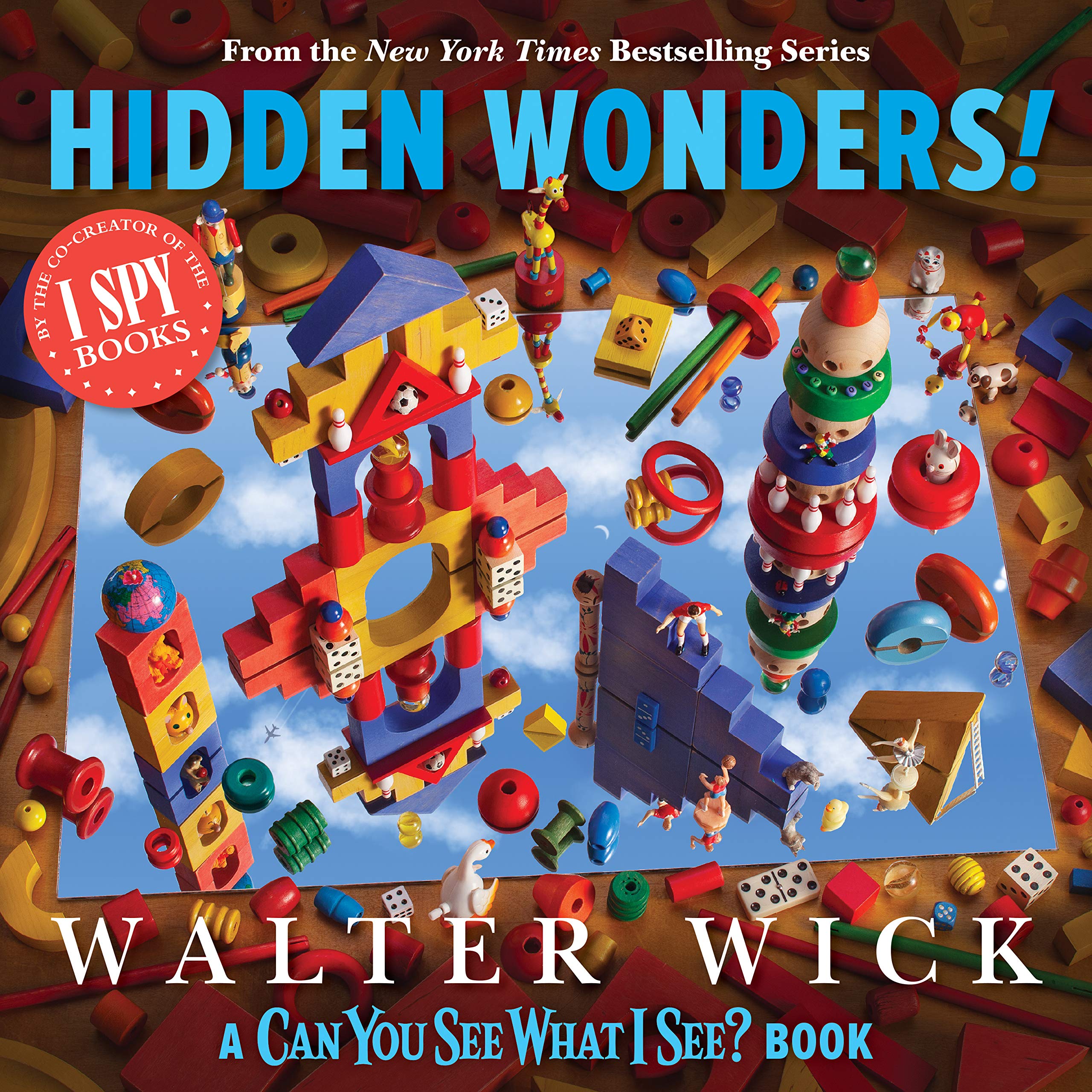 Can You See What I See?: Hidden Wonders (from the Co-Creator of I Spy) Non-fiction