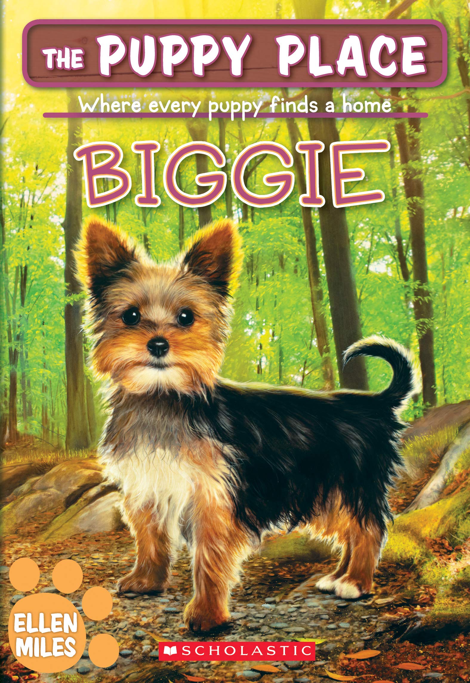 Biggie (The Puppy Place #60) (Volume 60) book