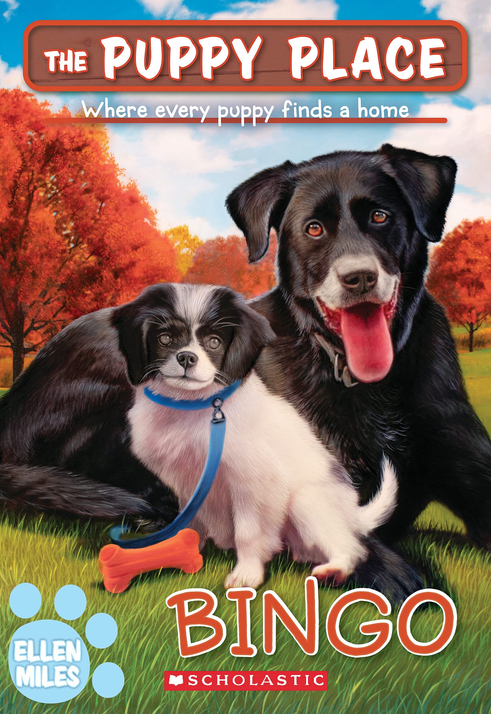 Bingo (The Puppy Place #65) book