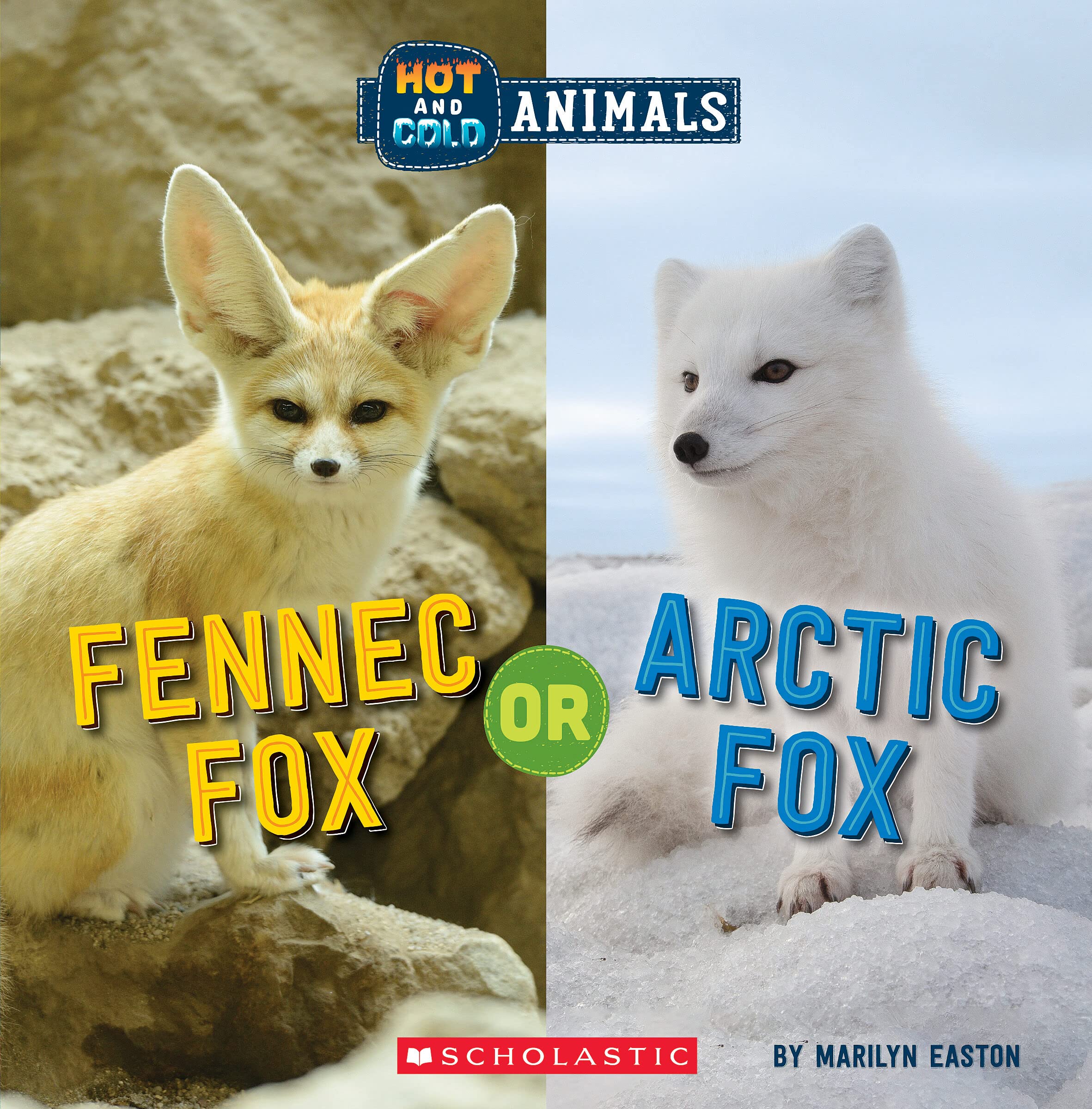Fennec Fox or Arctic Fox (Wild World: Hot and Cold Animals) Non-fiction