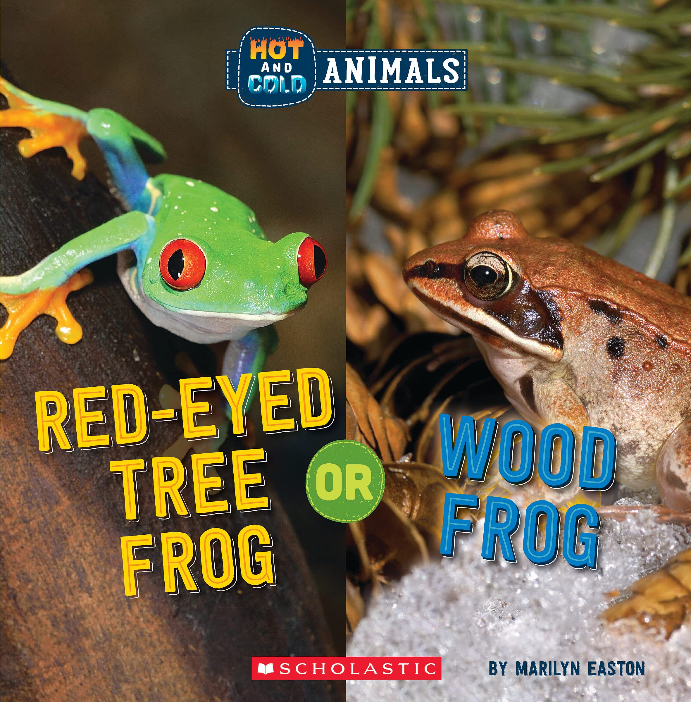 Red-Eyed Tree Frog or Wood Frog: Or, Red-eyed Tree Frog (Hot and Cold Animals) Parents & Children