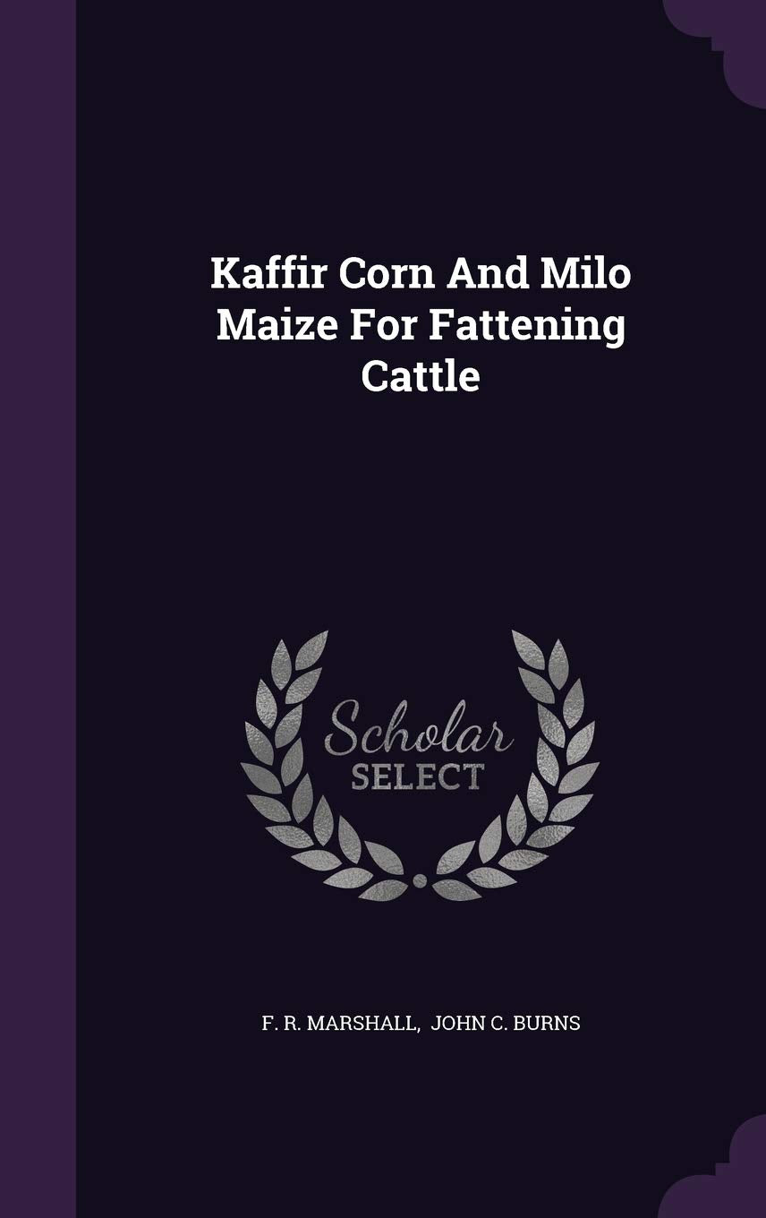 Kaffir Corn and Milo Maize for Fattening Cattle Politics & History