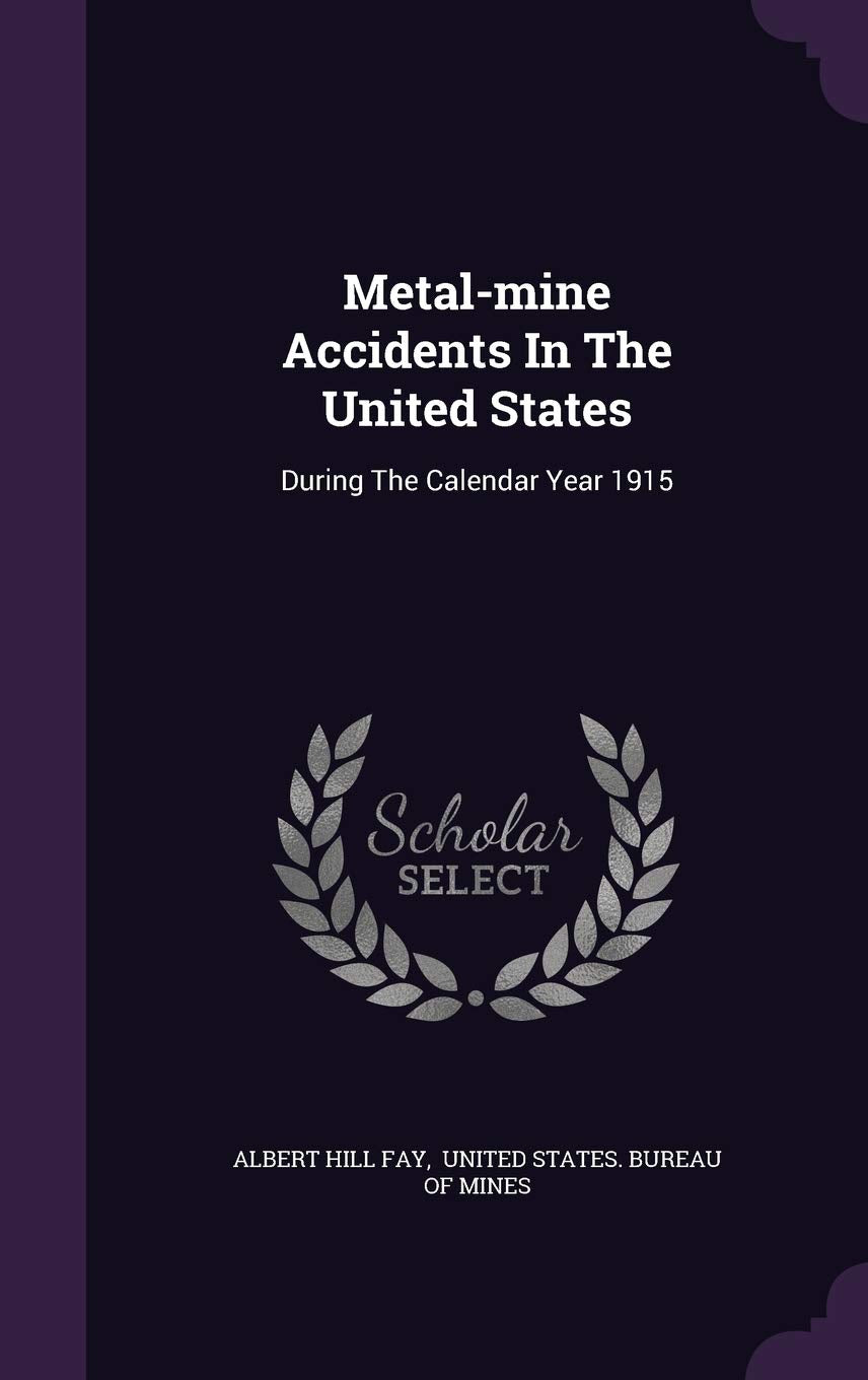 Metal-Mine Accidents in the United States: During the Calendar Year 1915 book