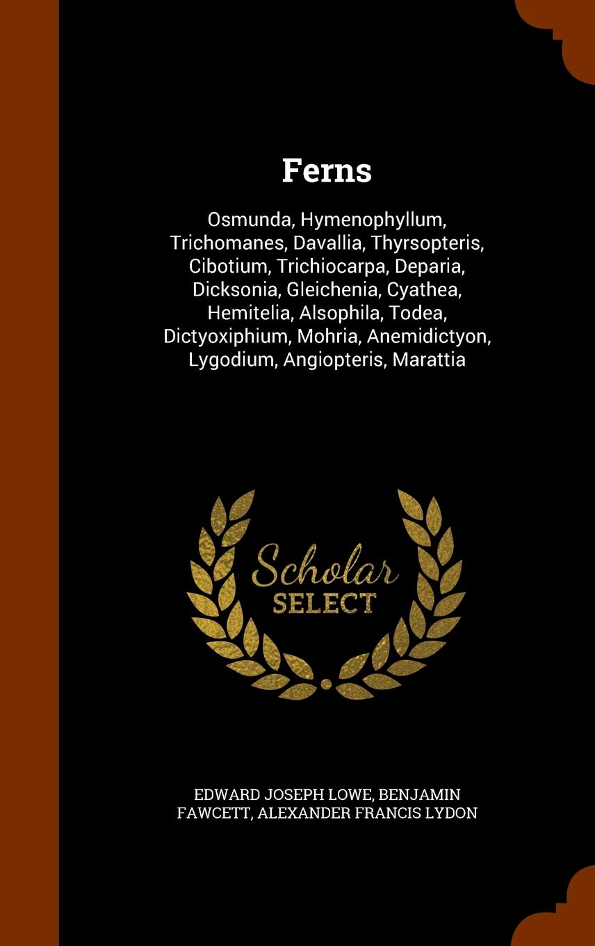 Ferns: Osmunda, Hymenophyllum, Trichomanes, Davallia, Thyrsopteris, Cibotium, Trichiocarpa, Deparia, Dicksonia, Gleichenia, Cyathea, Hemitelia, ... Anemidictyon, Lygodium, Angiopteris, Marattia Mathematics