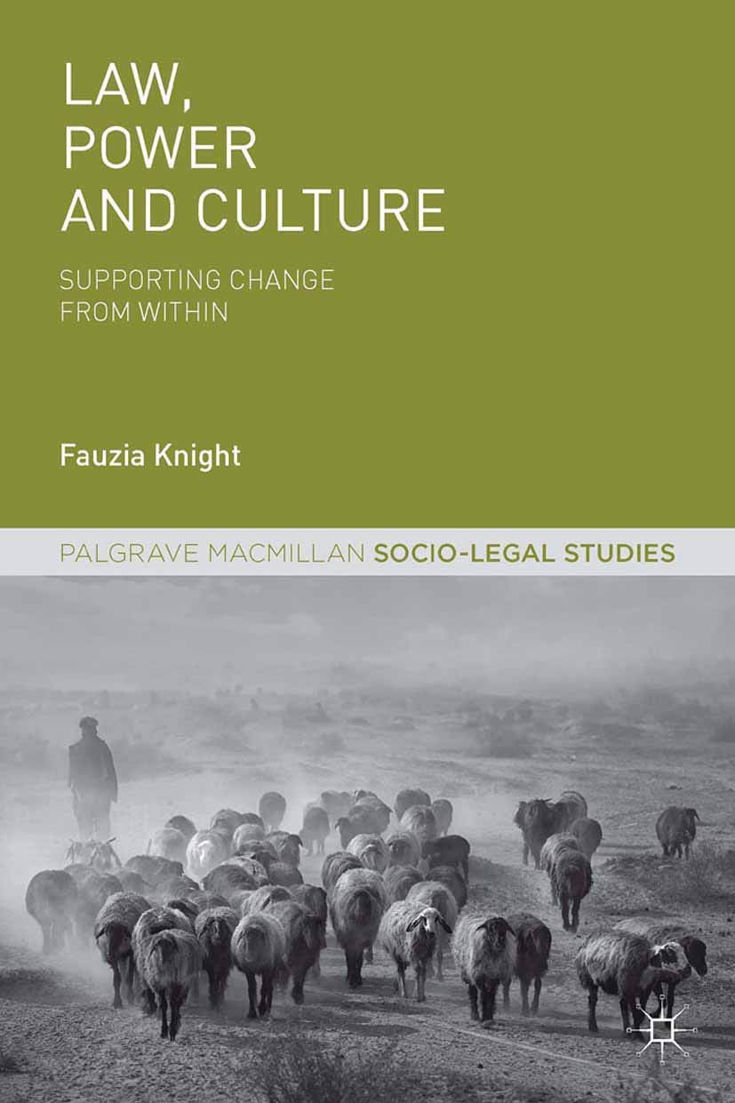 Law, Power and Culture: Supporting Change From Within (Palgrave Socio-Legal Studies) Law