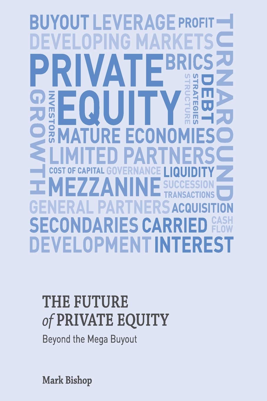 The Future of Private Equity: Beyond the Mega Buyout Law
