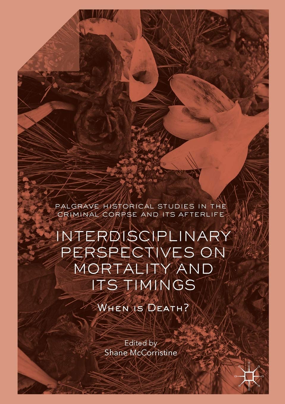 Interdisciplinary Perspectives on Mortality and its Timings: When is Death? (Palgrave Historical Studies in the Criminal Corpse and its Afterlife) Law