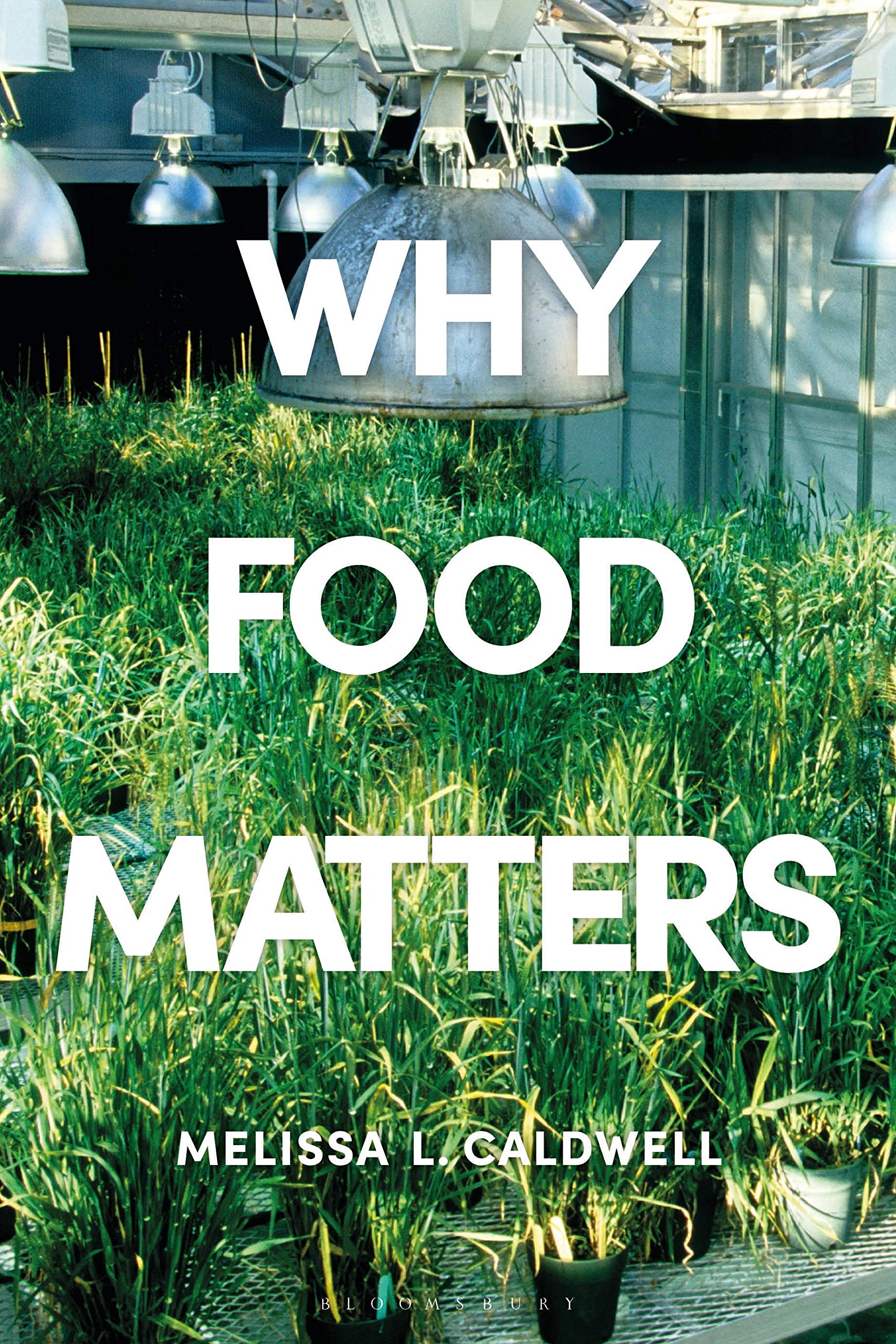 Why Food Matters: Critical Debates in Food Studies Books