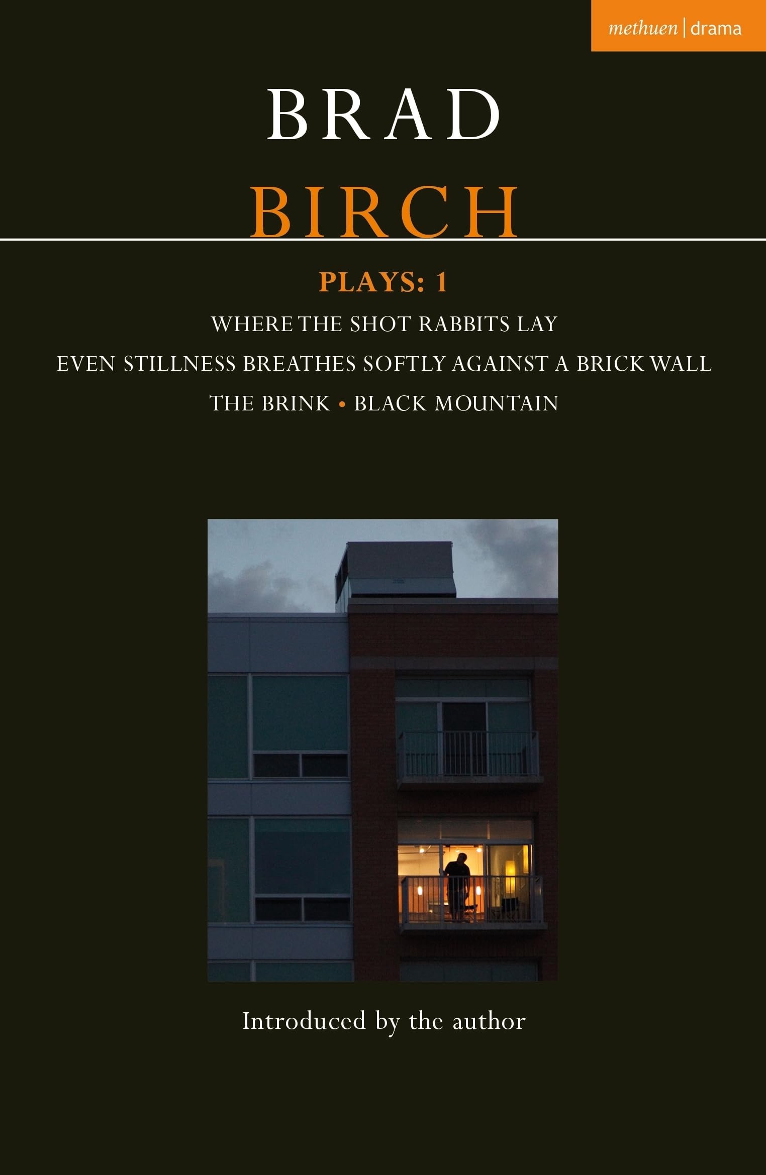 Birch Plays: 1: Where the Shot Rabbits Lay; Even Stillness Breathes Softly Against a Brick Wall; The Brink; Black Mountain (Contemporary Dramatists) Drama