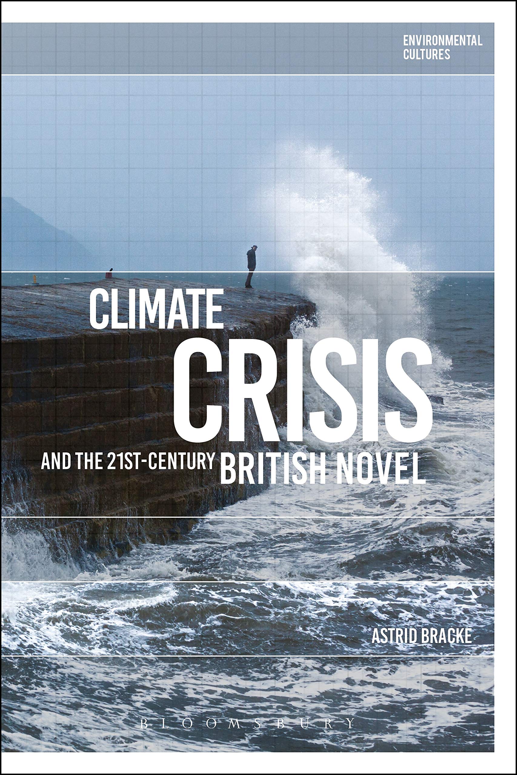 Climate Crisis and the 21st-Century British Novel (Environmental Cultures) Contemporary literature