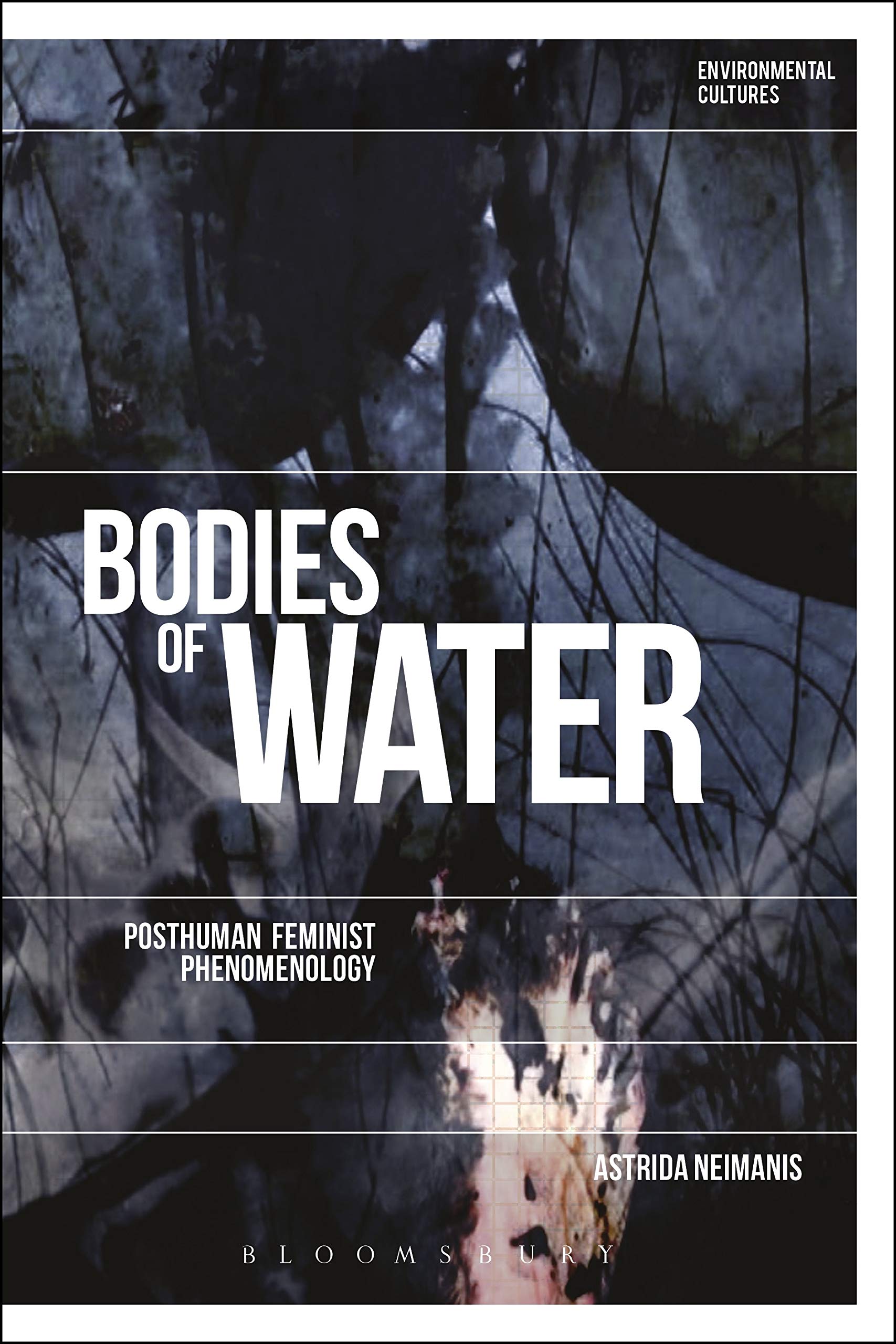 Bodies of Water: Posthuman Feminist Phenomenology (Environmental Cultures) Philosophy