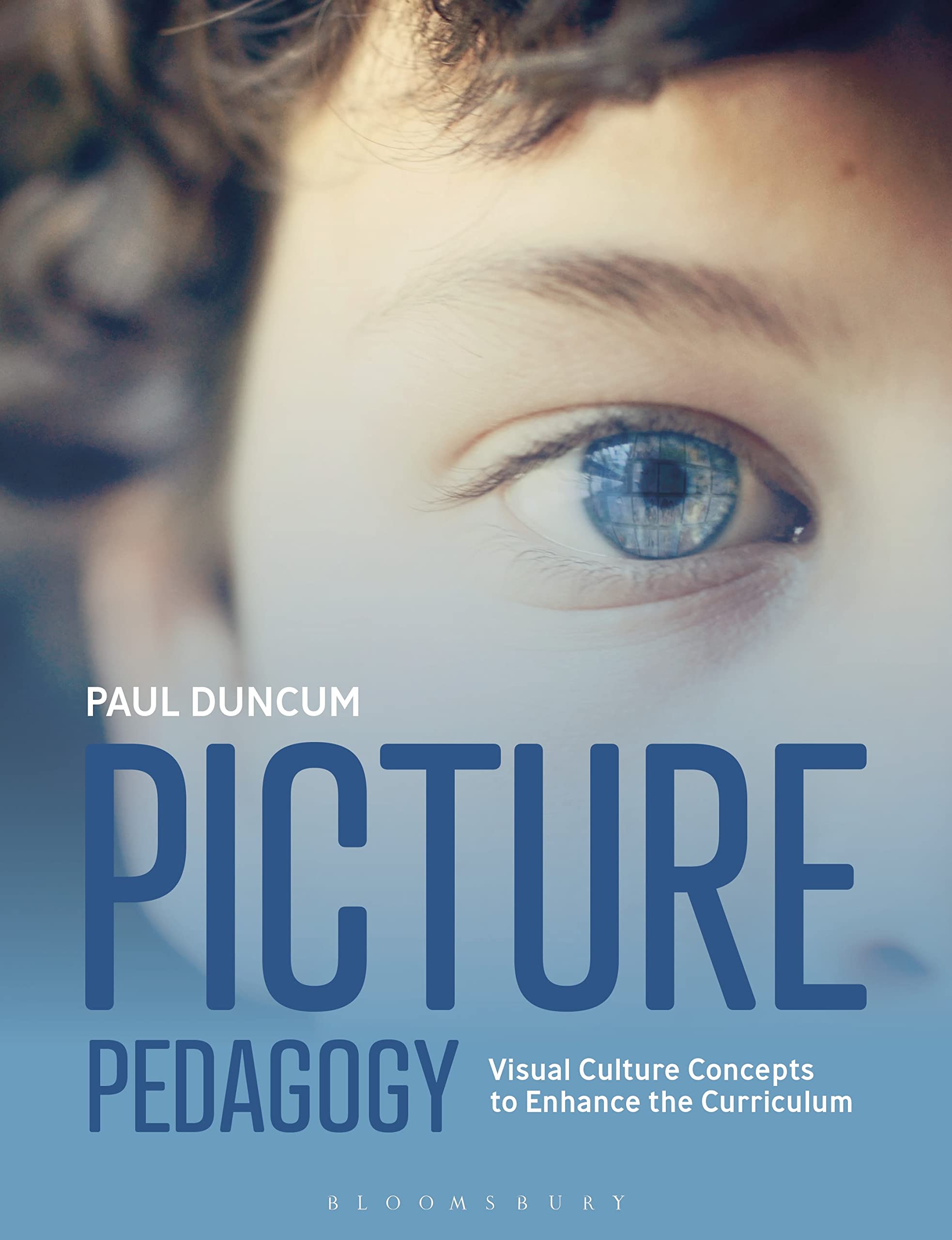 Picture Pedagogy: Visual Culture Concepts to Enhance the Curriculum Education & Training